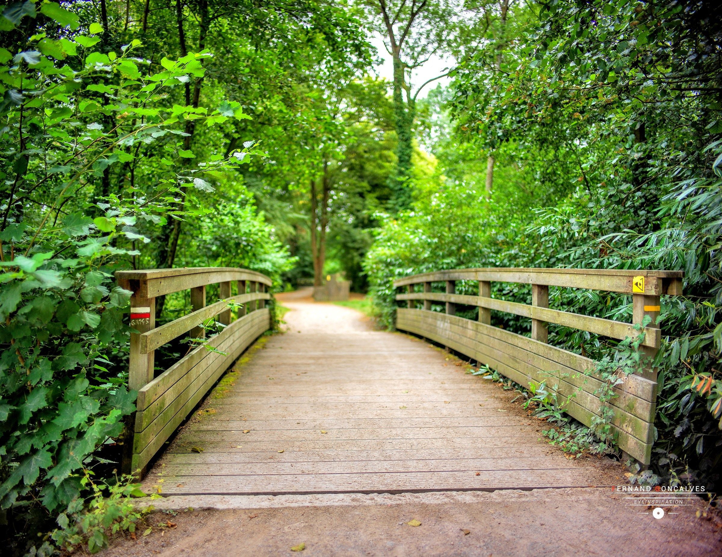 Parc des Grandes Prairies Arras
