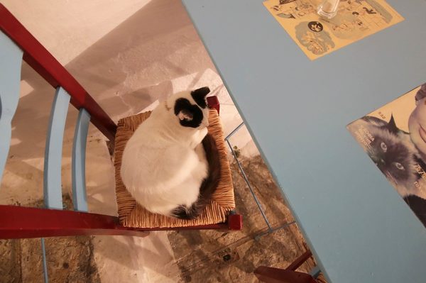 Foto