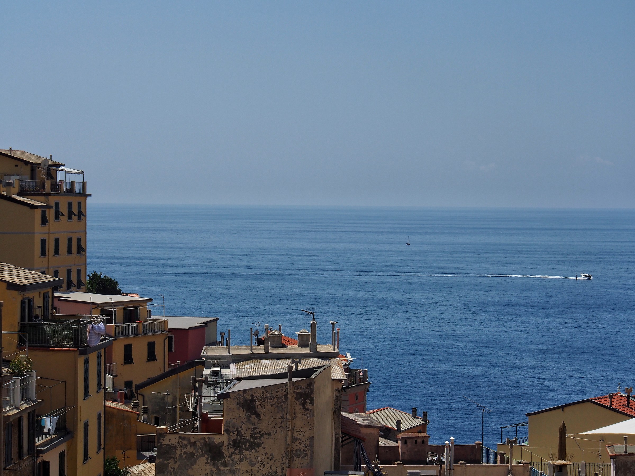 Ripmaggiore da dietro