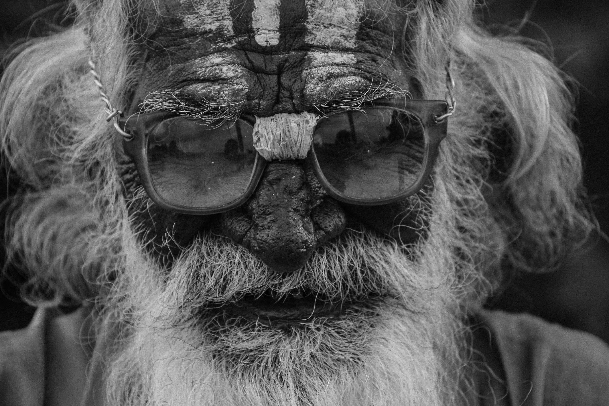 l'arte di arrangiarsi