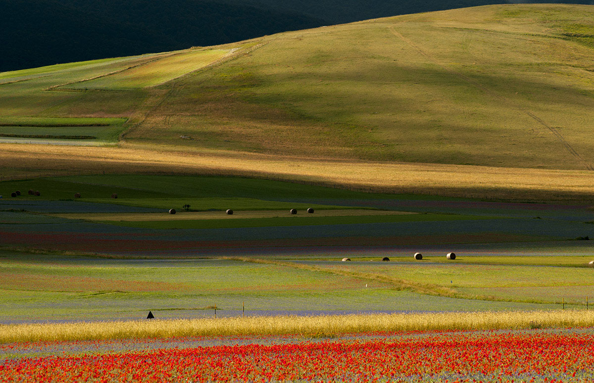 Lights on the fields-