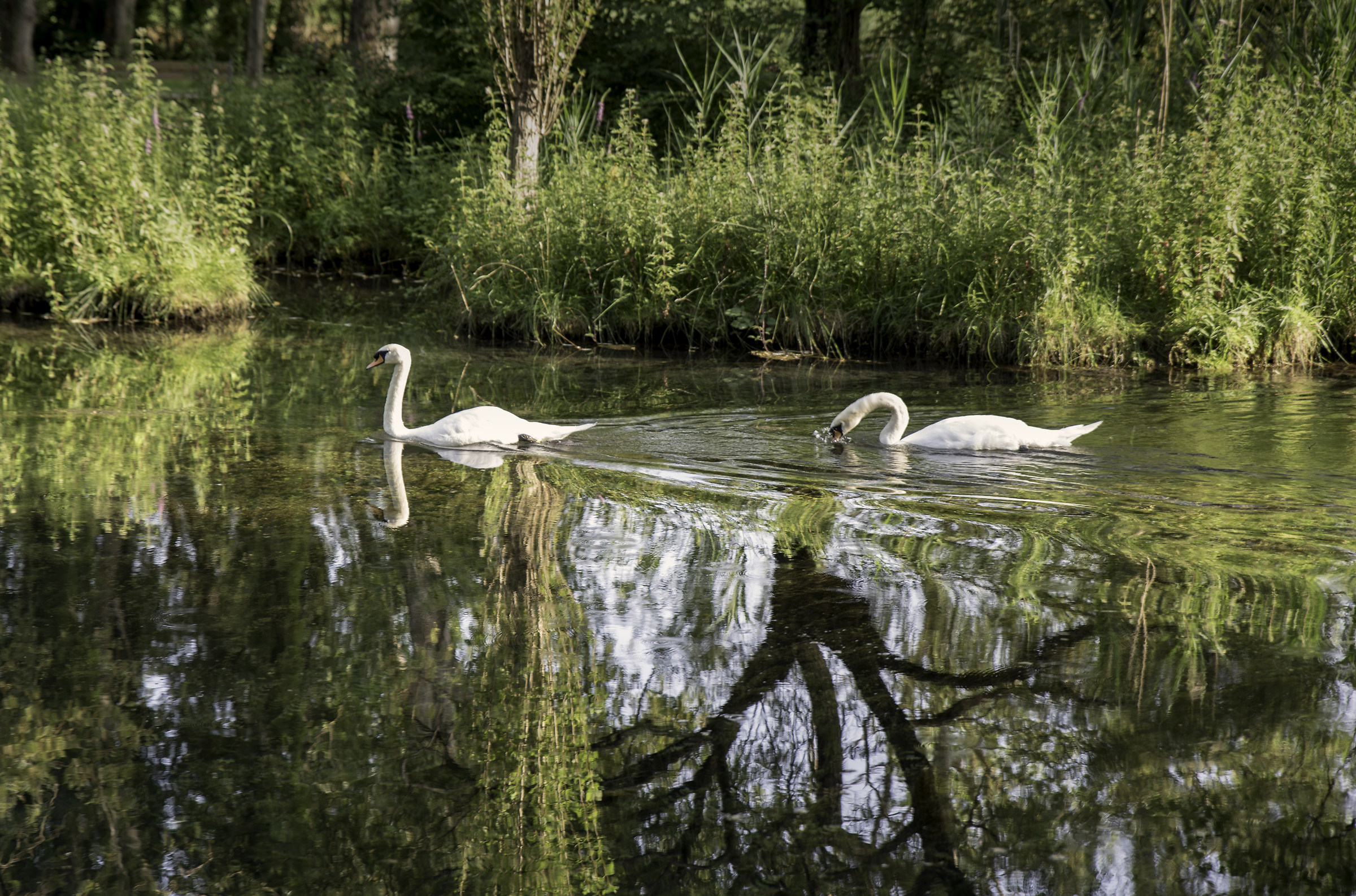 Sources of the Clyhun