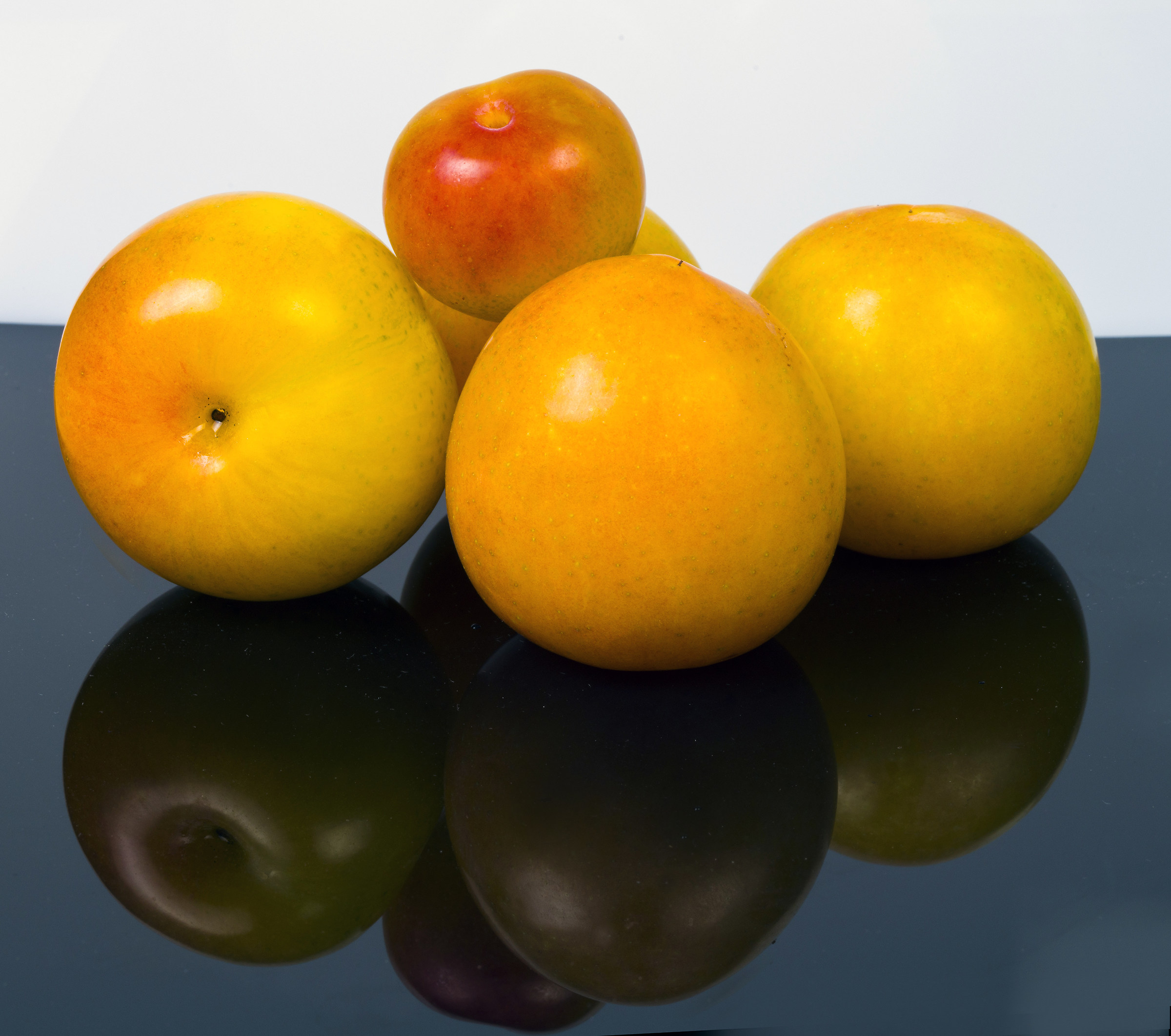Five plums on black, white background