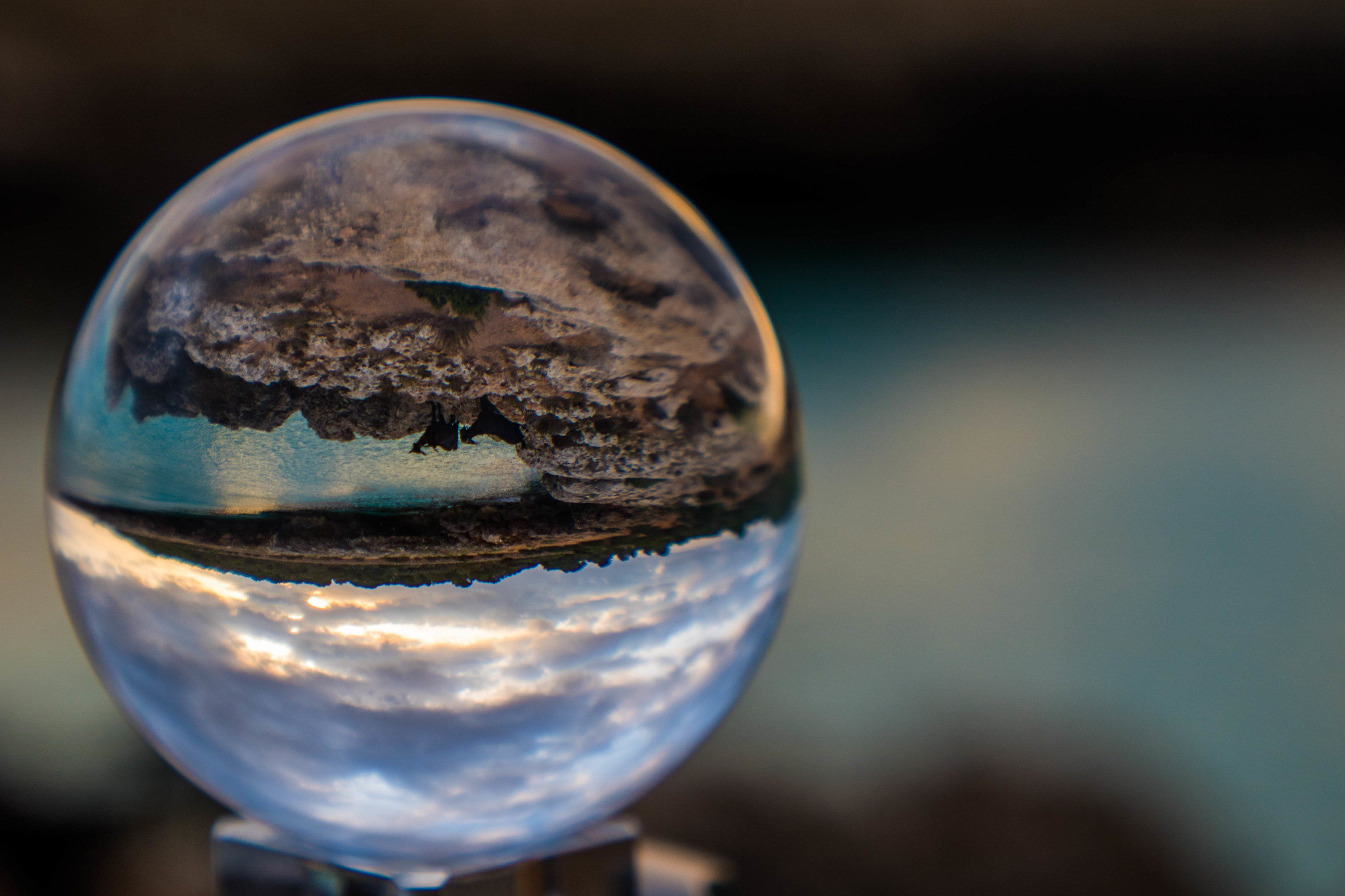 Mare...in Ball Caprette