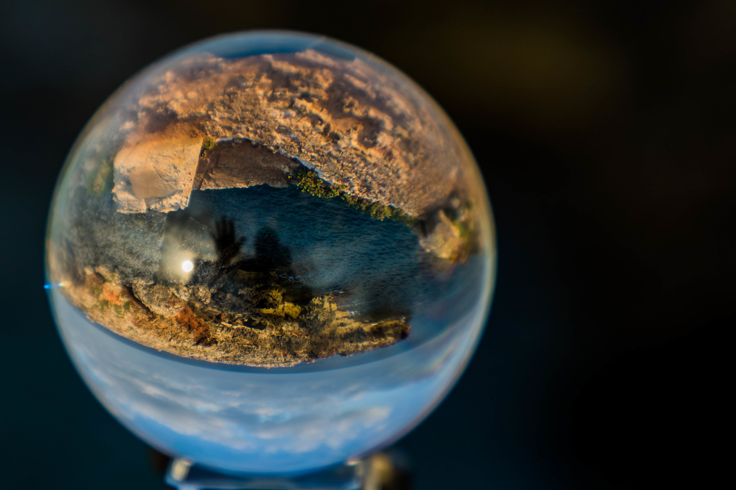 Greetings in "vitro"