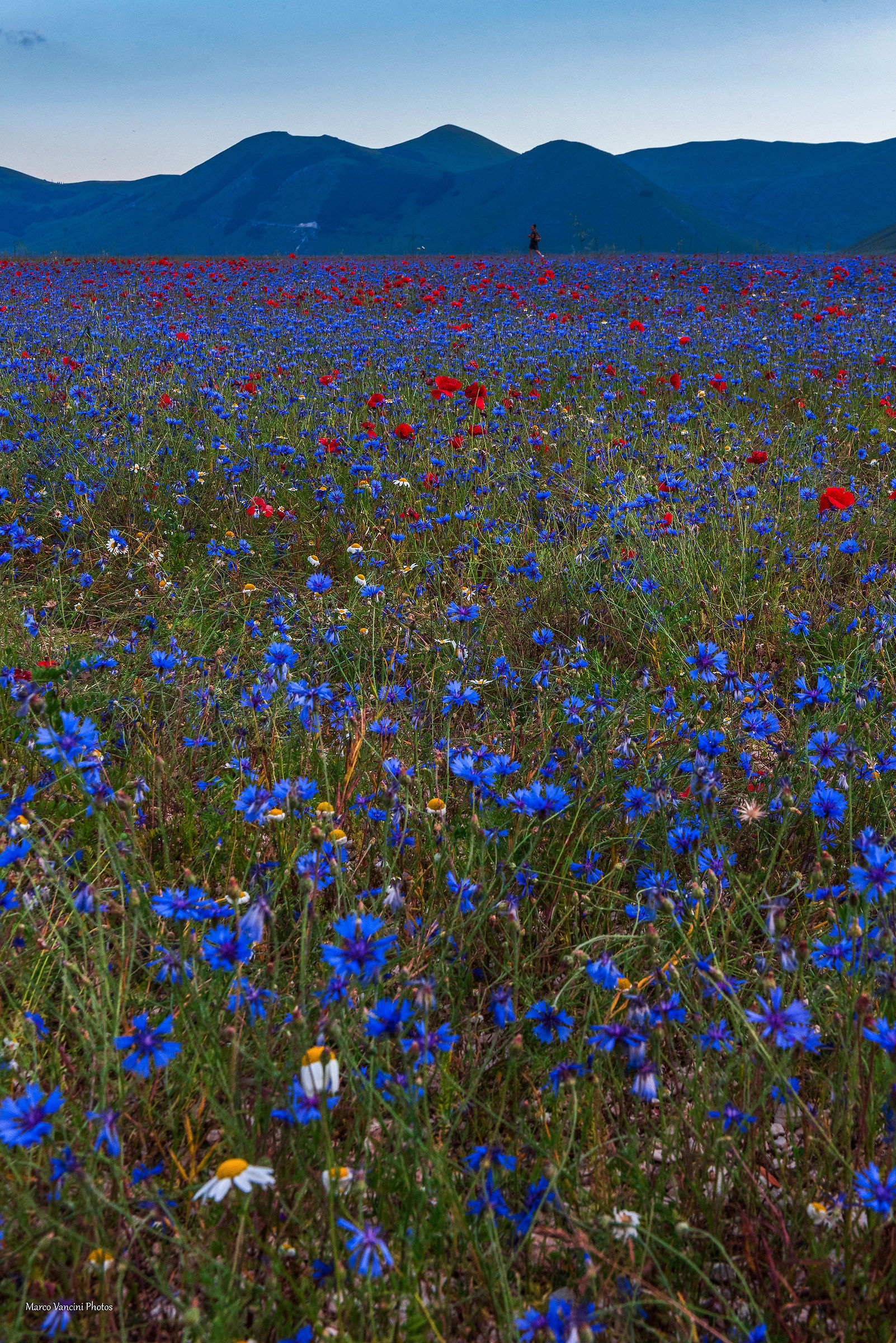 Rushing into the blue