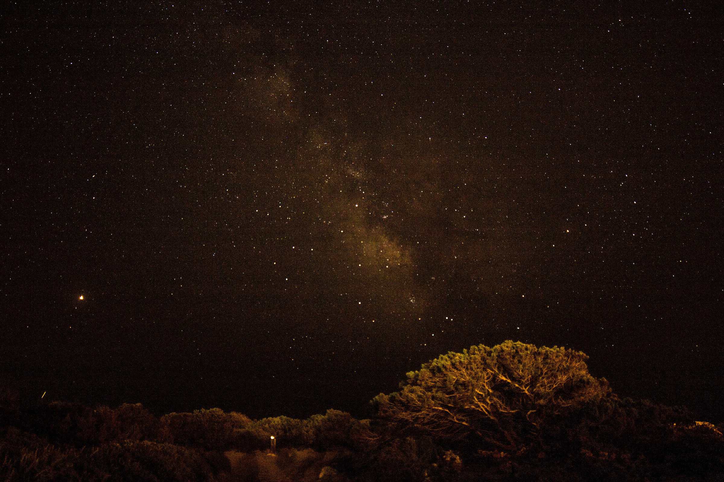 Col naso all'insù...