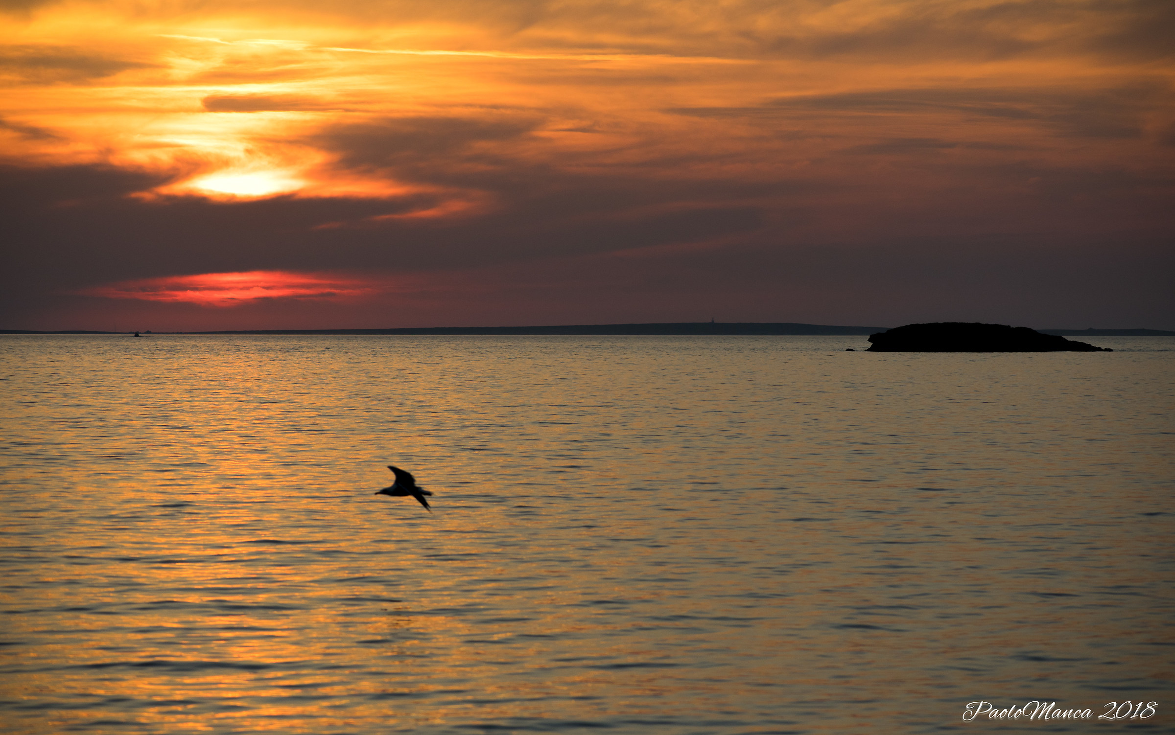 Sunset with seagull in flight...