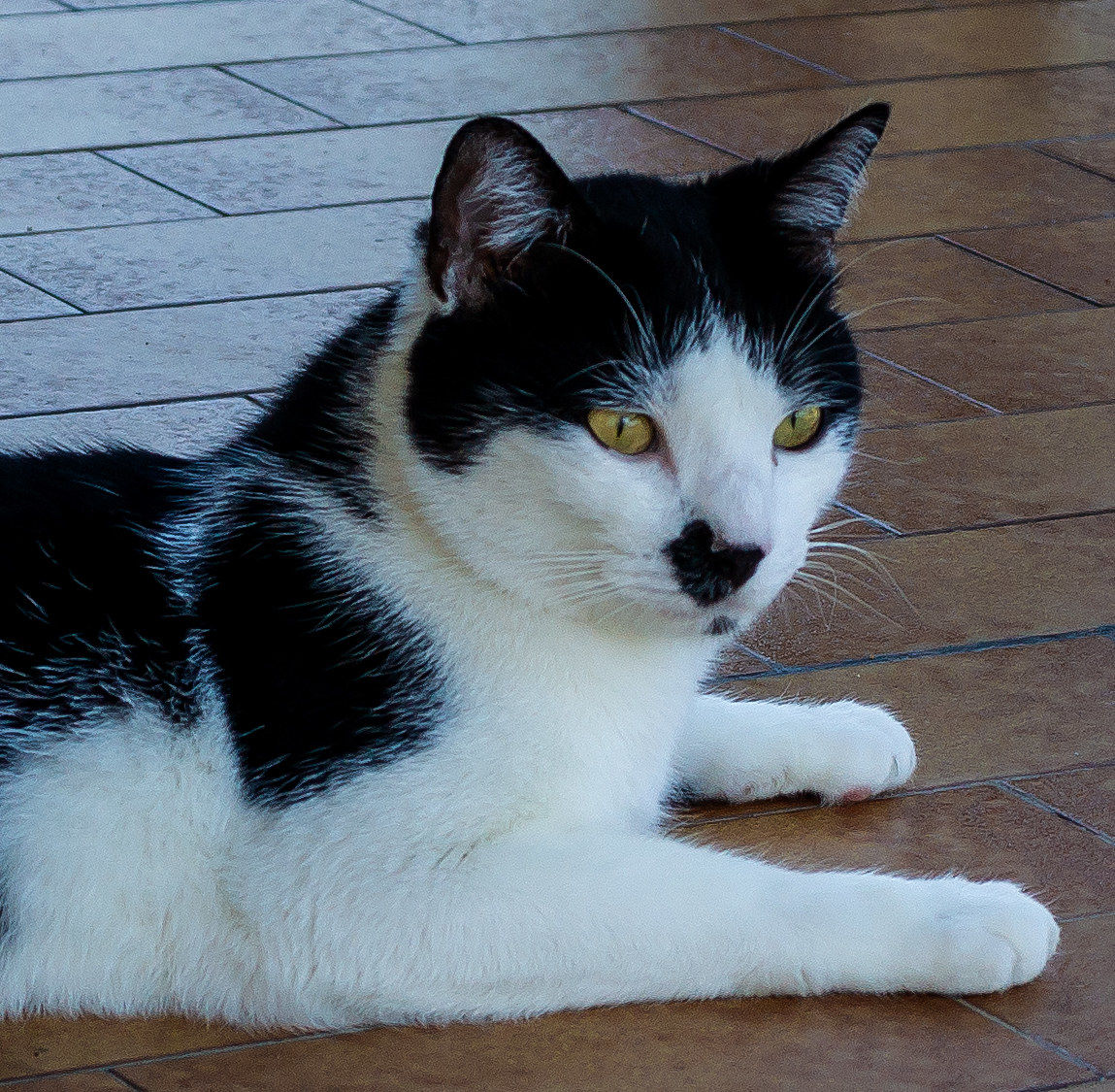 Floyd il bonaccione..