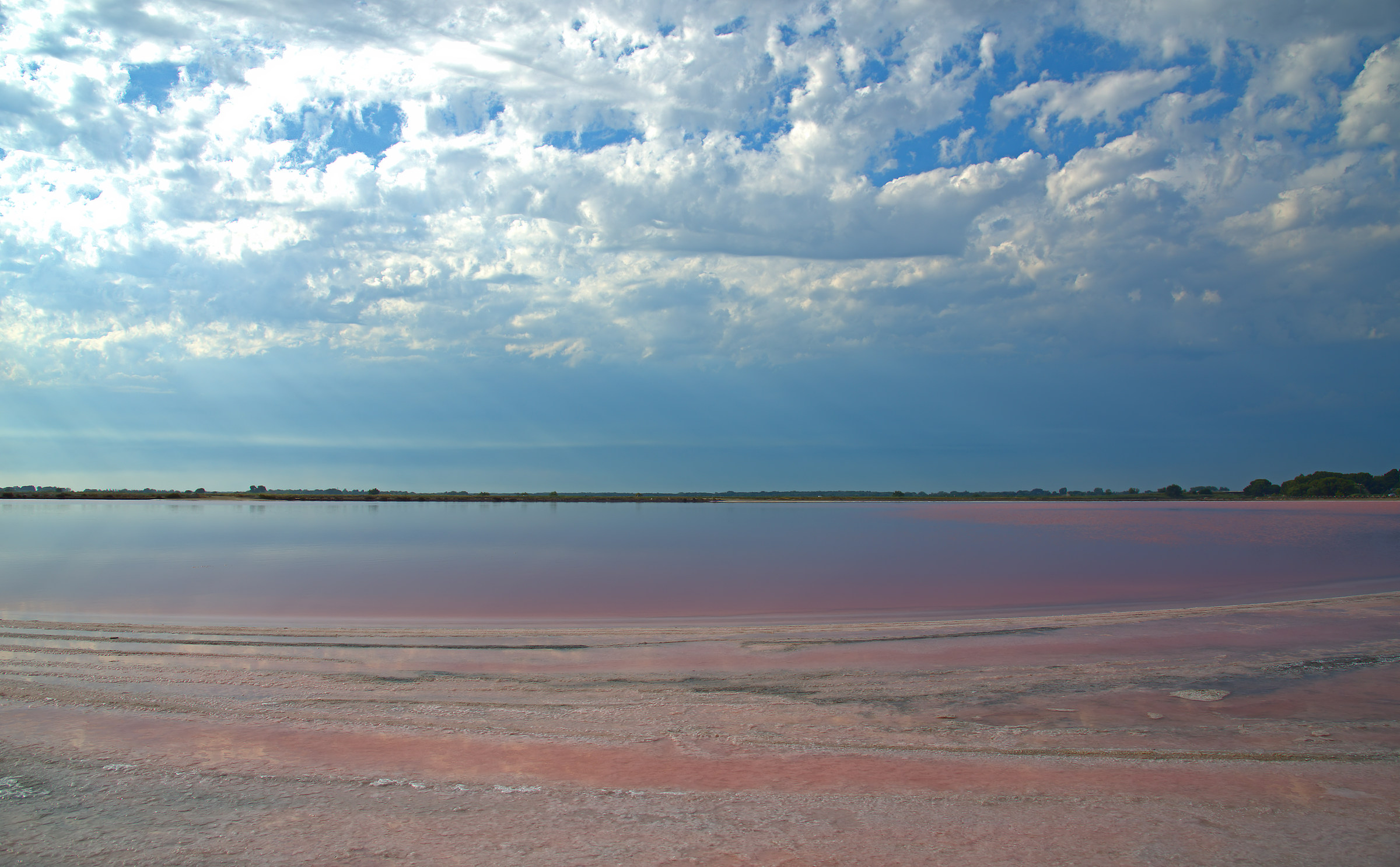 Saline of Aigues Mortes