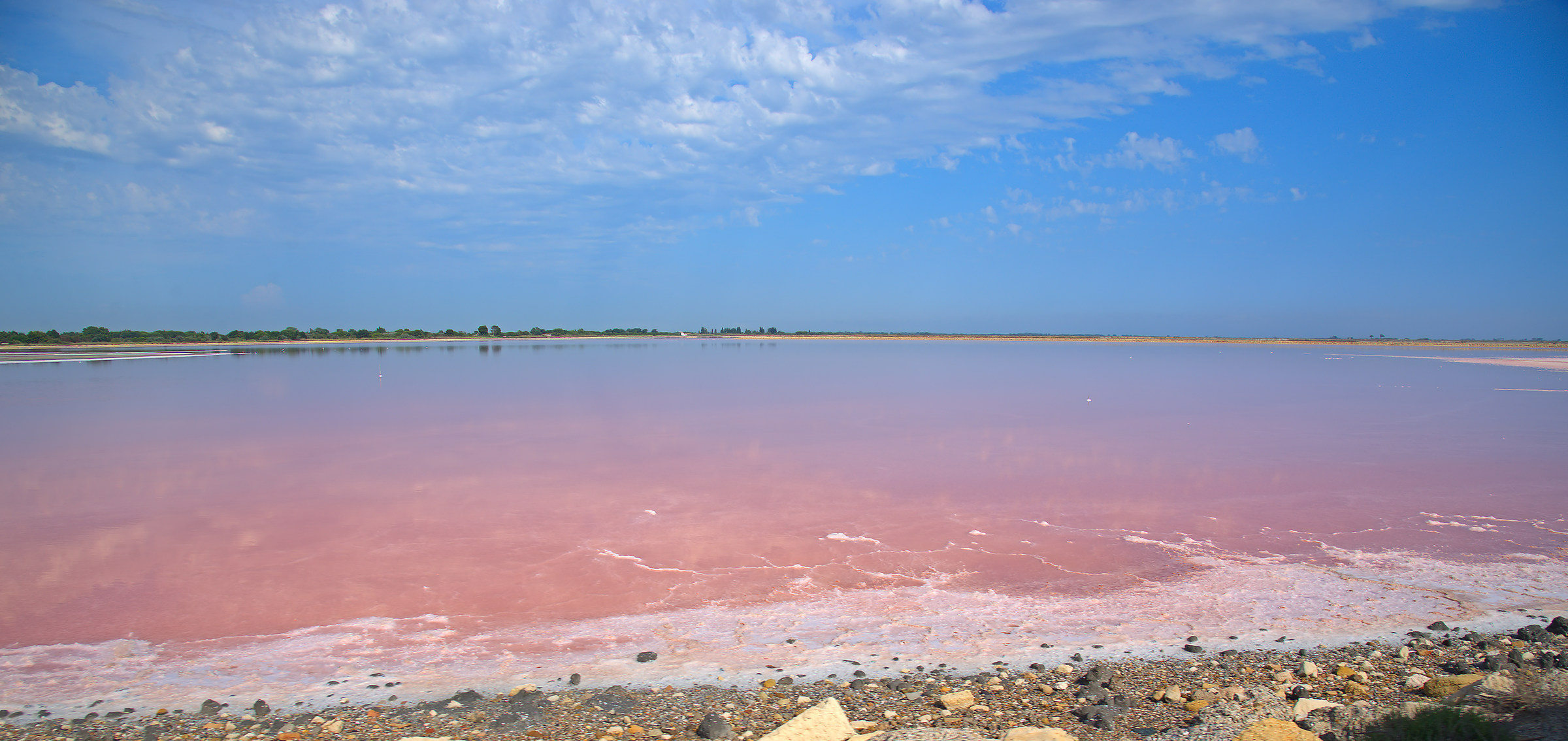 Saline of Aigues Mortes