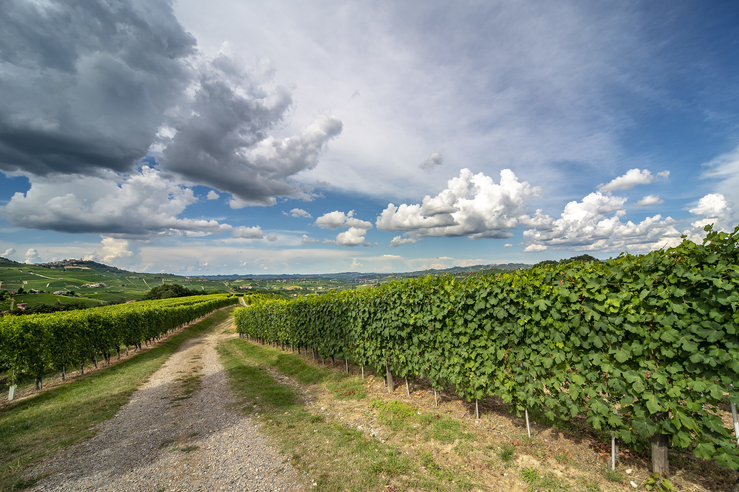 Langhe, Piedmont