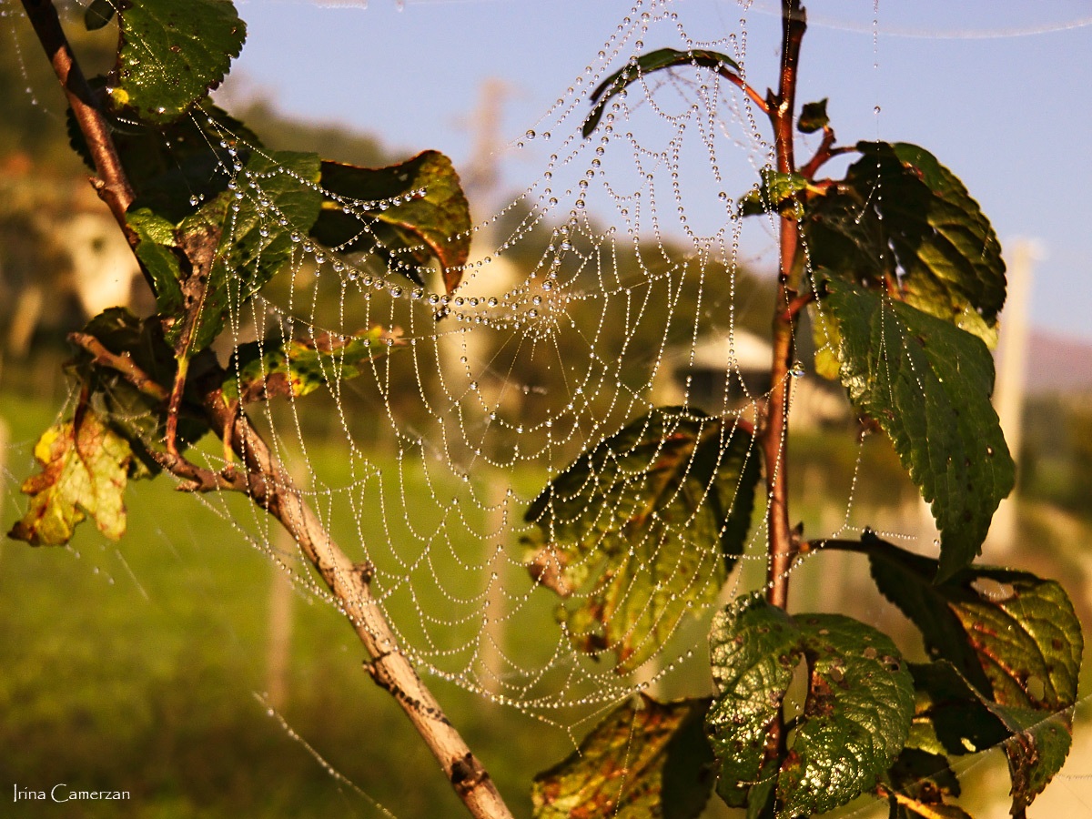 appesi ad un filo...