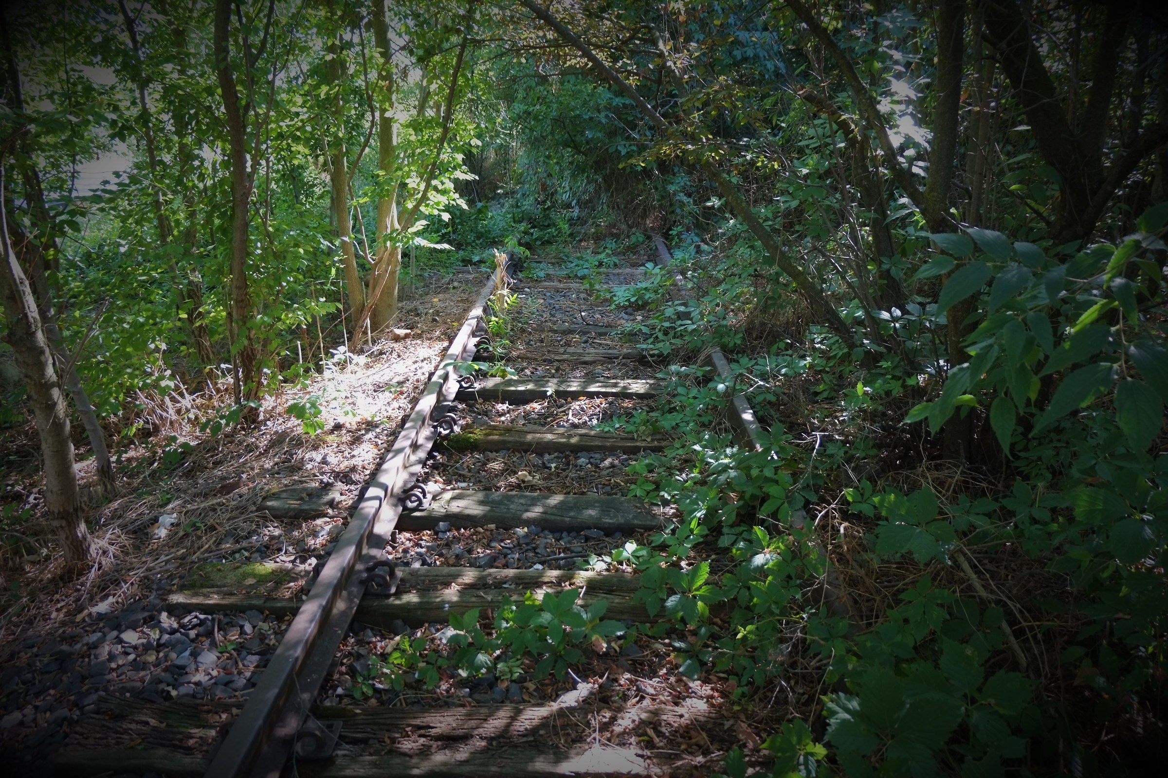 Forgotten Rails