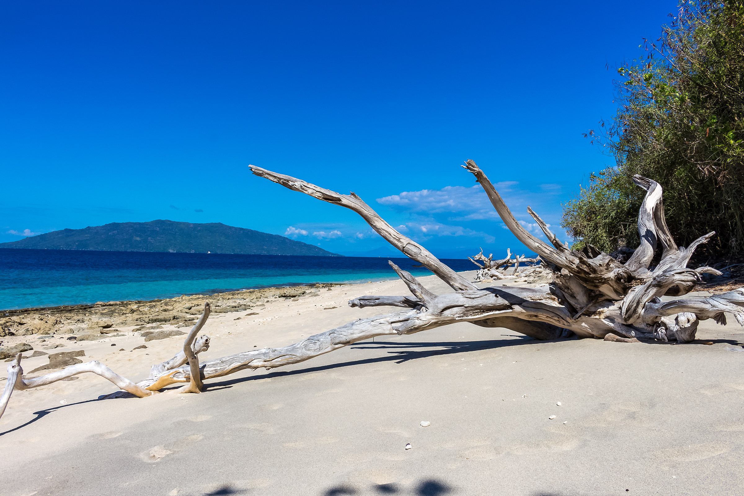 Tronco secco a Nosy Fanihy