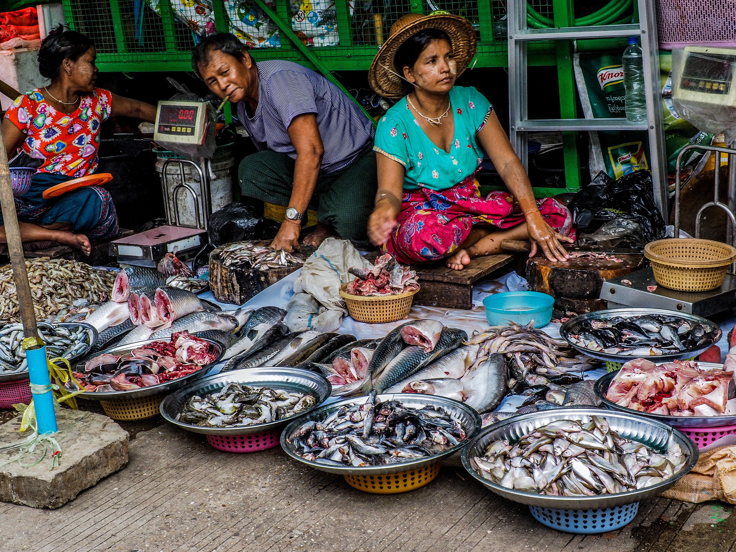 Yangon - Fish Market
