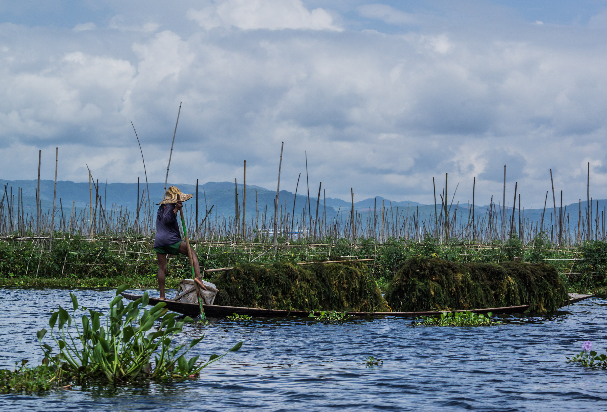 Myanmar, Inle Lake - Fisherman