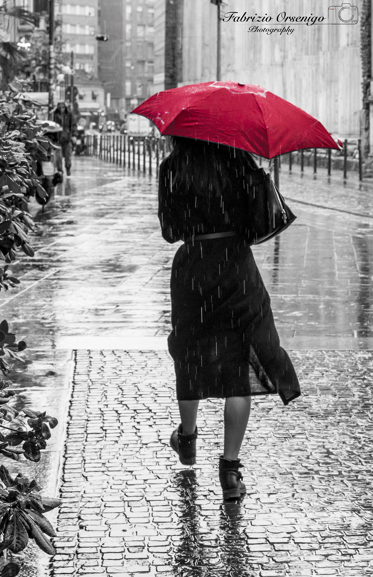 The Red umbrella