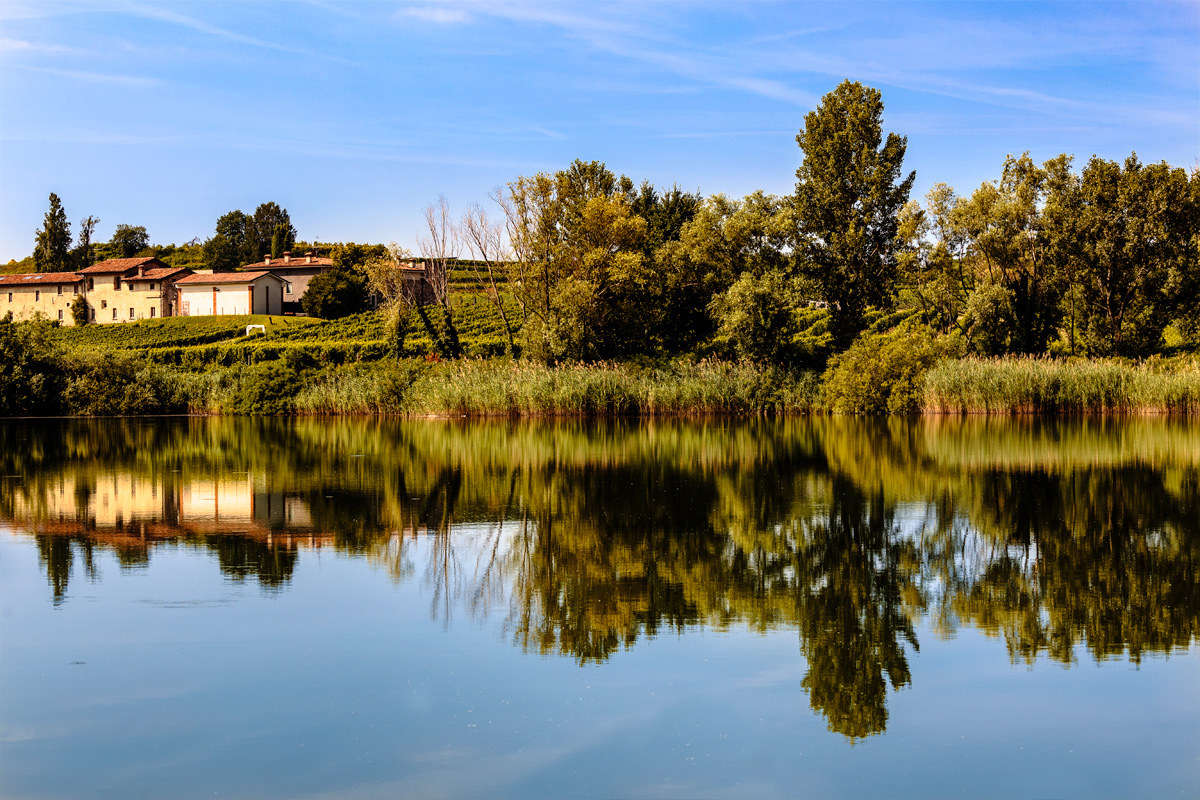 Reflections in the Reserve