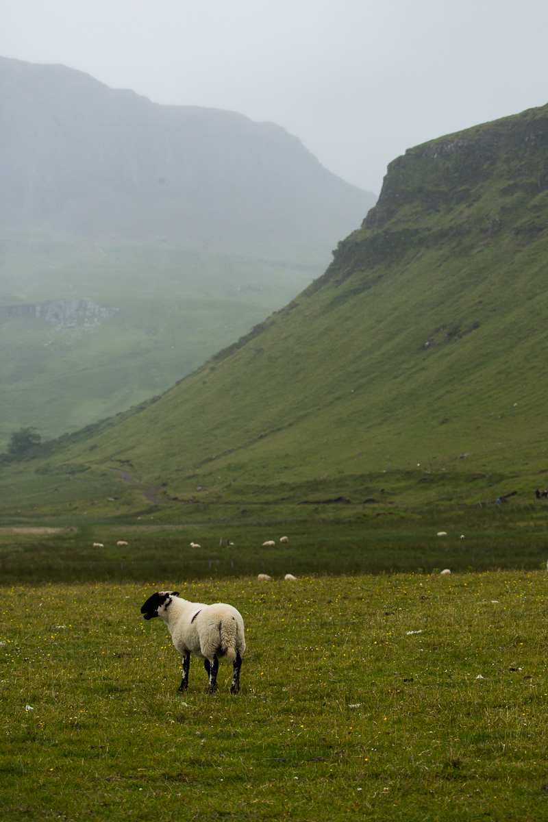 Talisker Bay