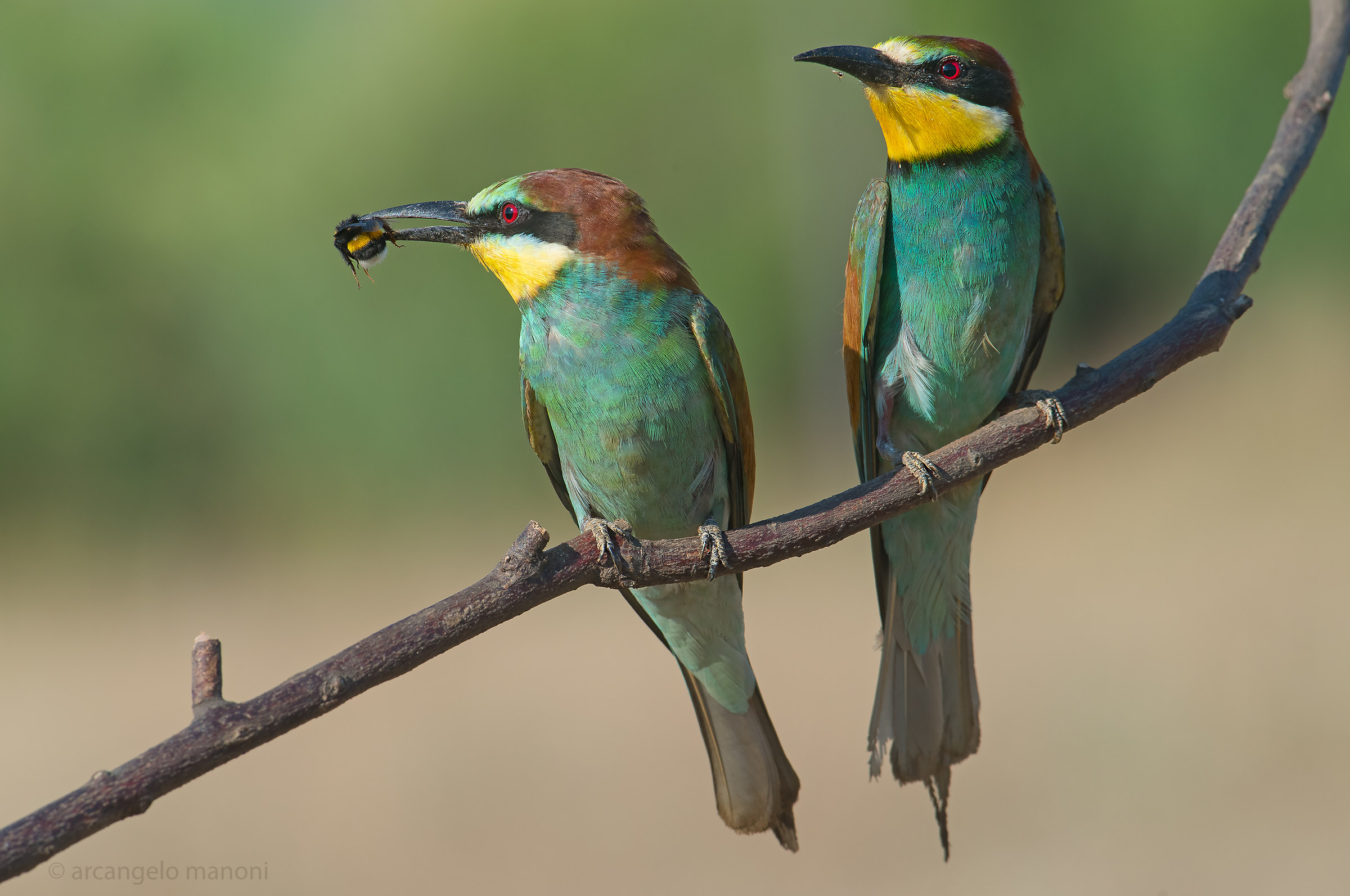 The disappointed and the gratified