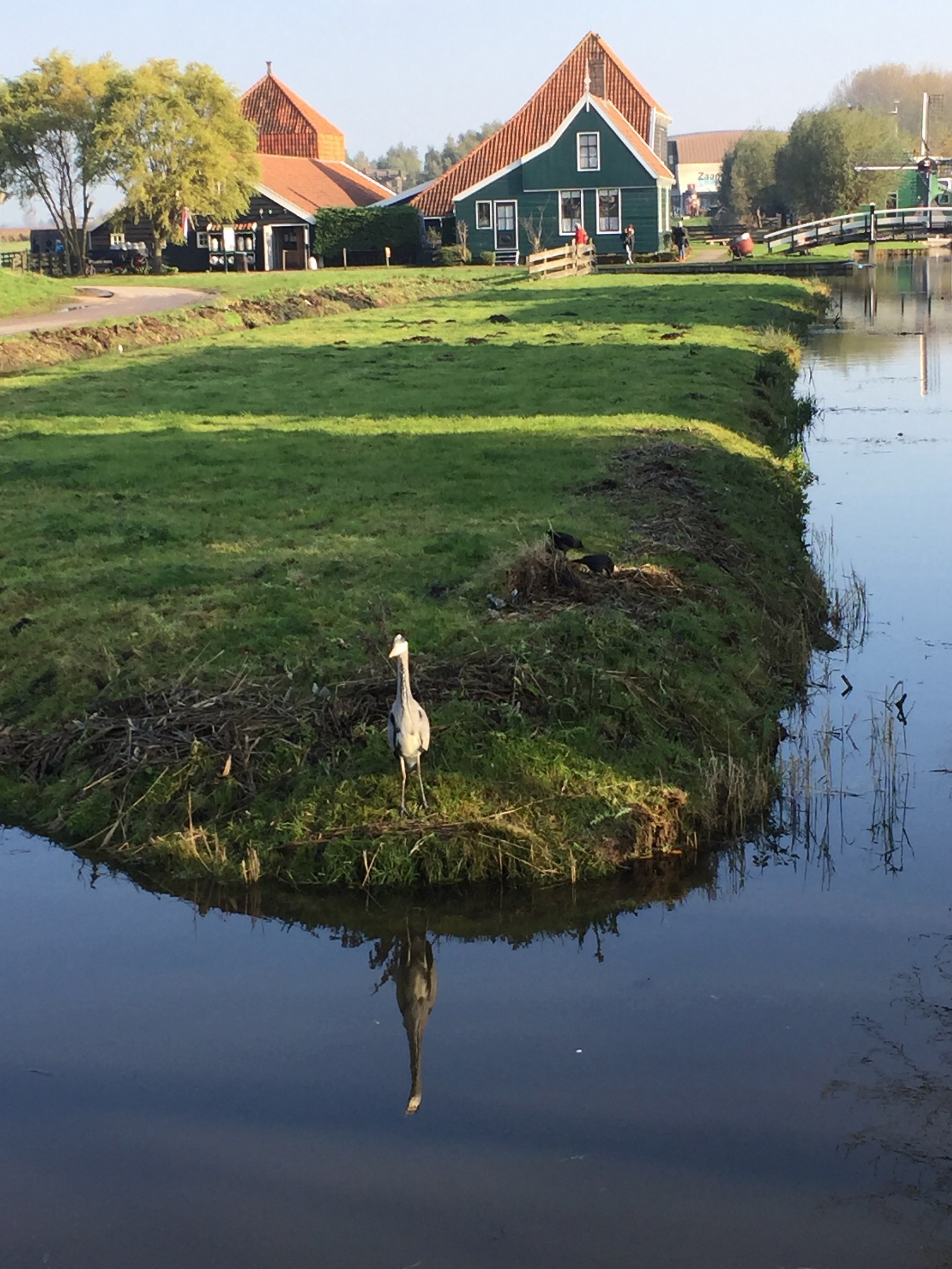 Zaanse Schans