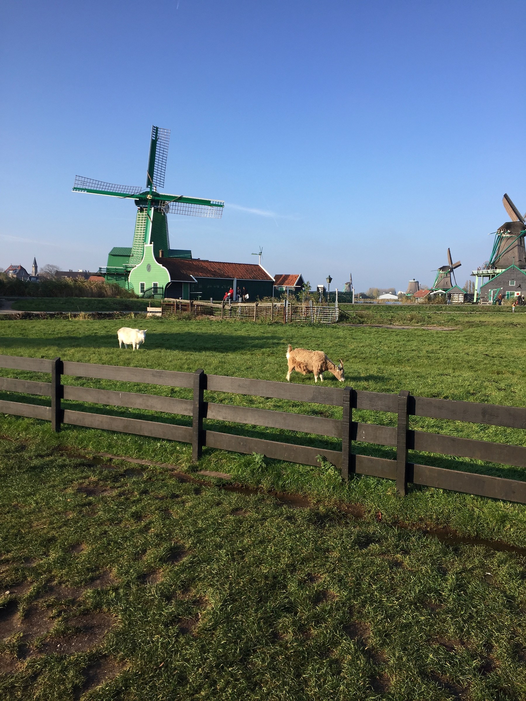 Zaanse Schans
