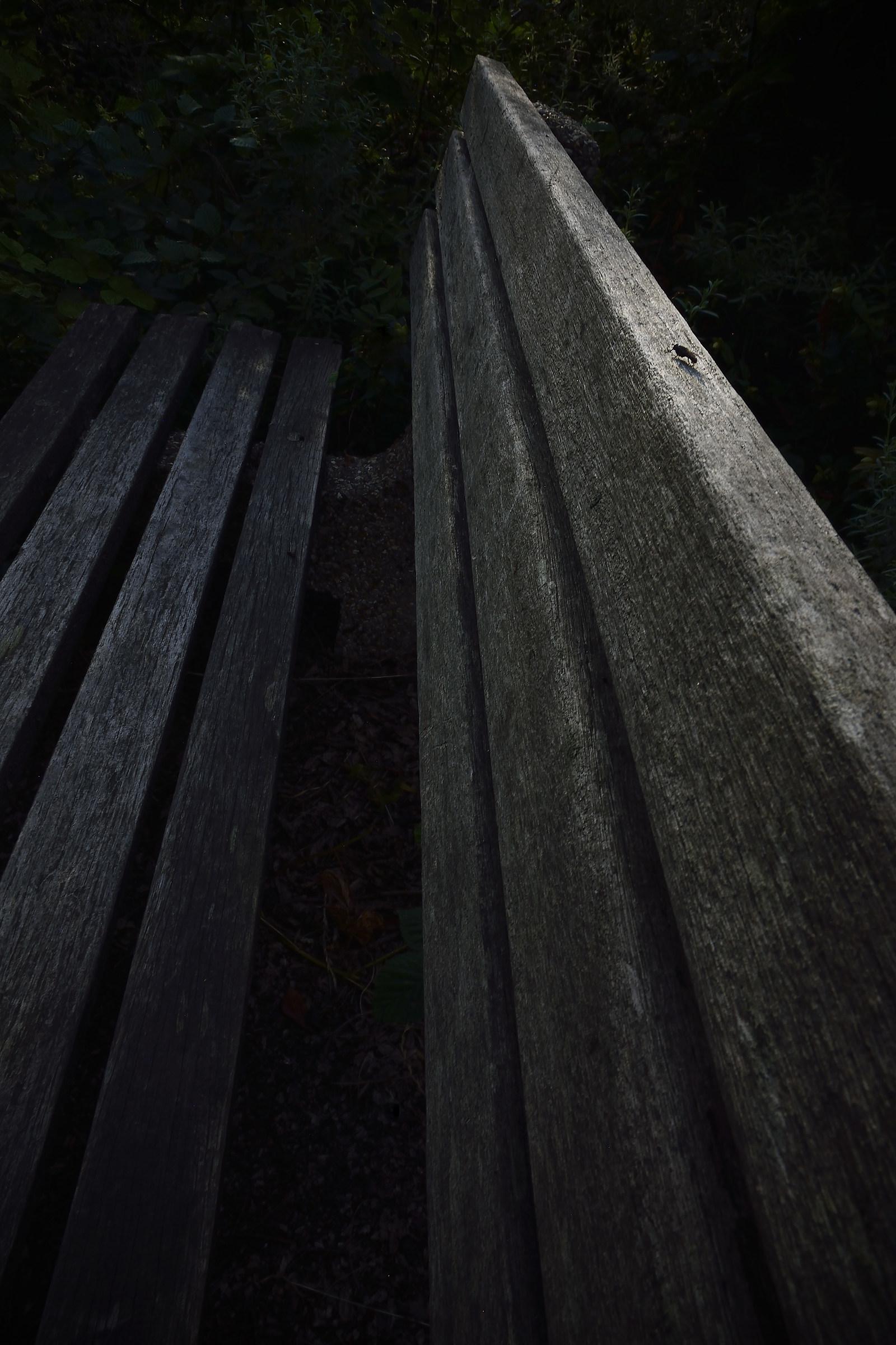 Fly (climbing wooden skyscraper)