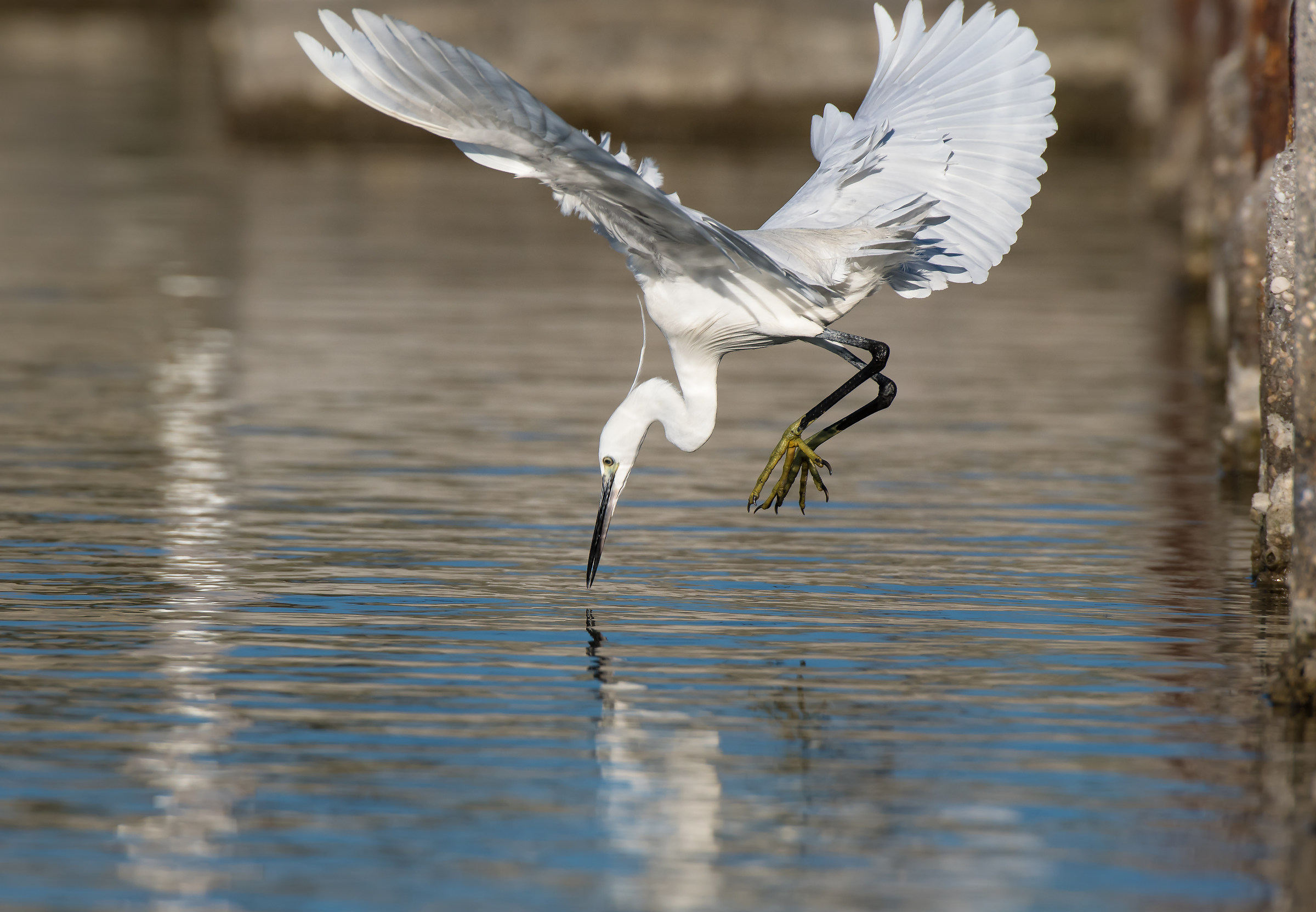 Giusto un attimo prima