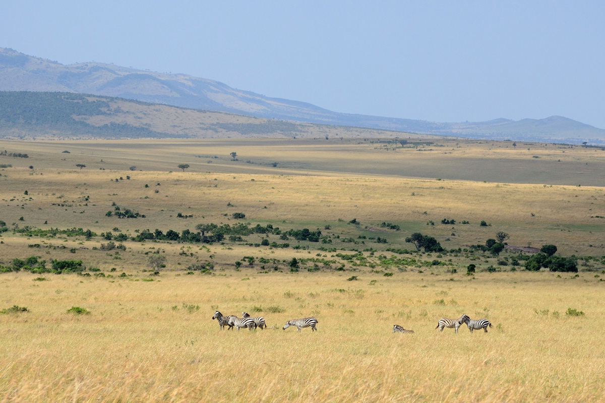 Paesaggio del Masai Mara