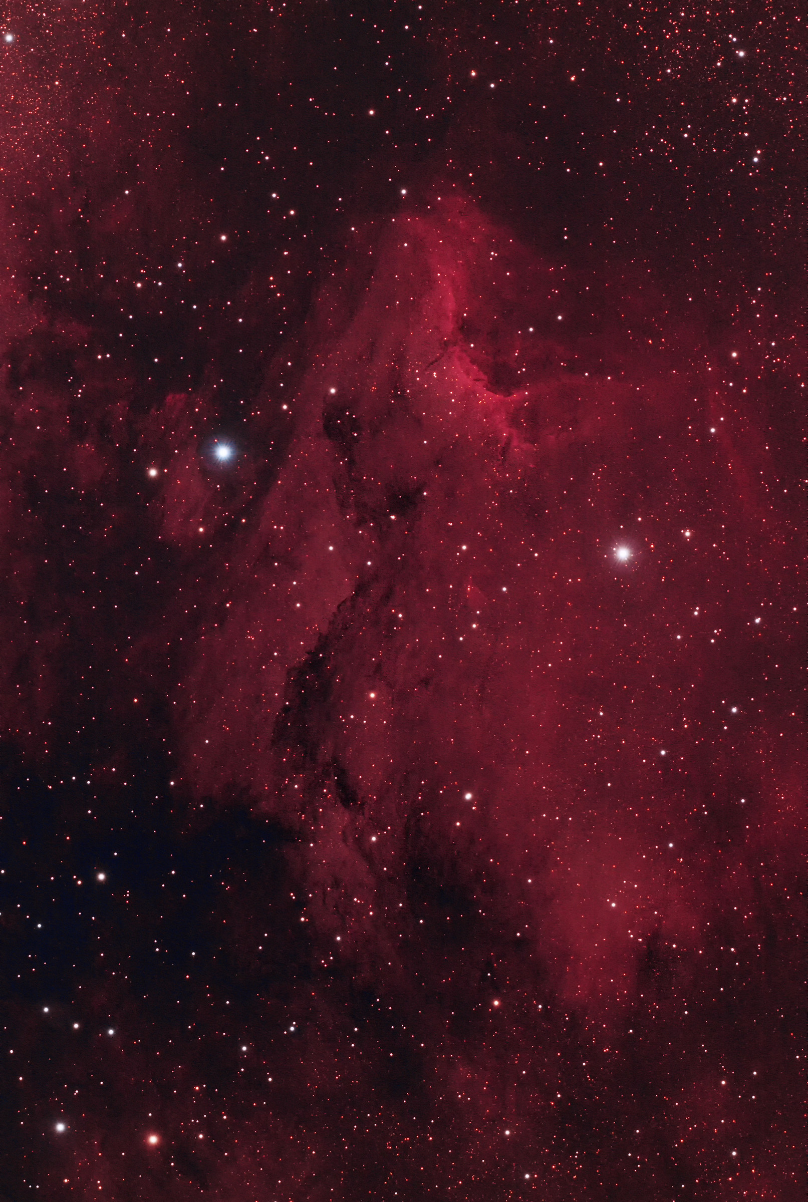 Pelican with Vixen ED81S