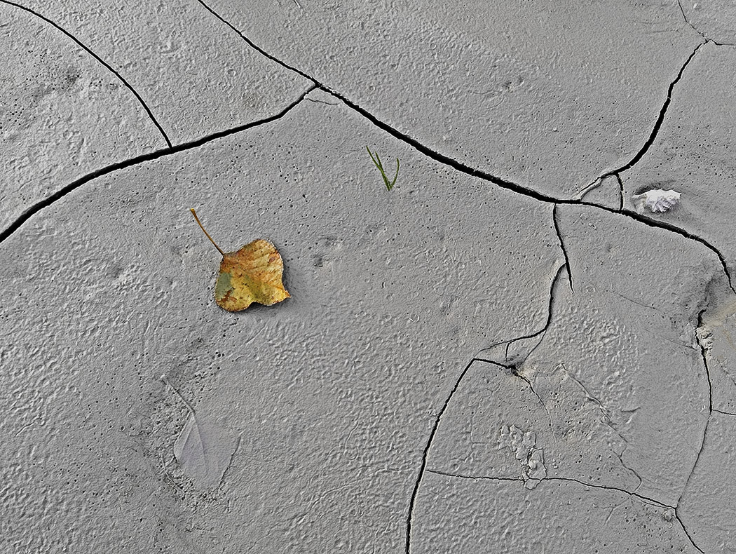 At the river on summer