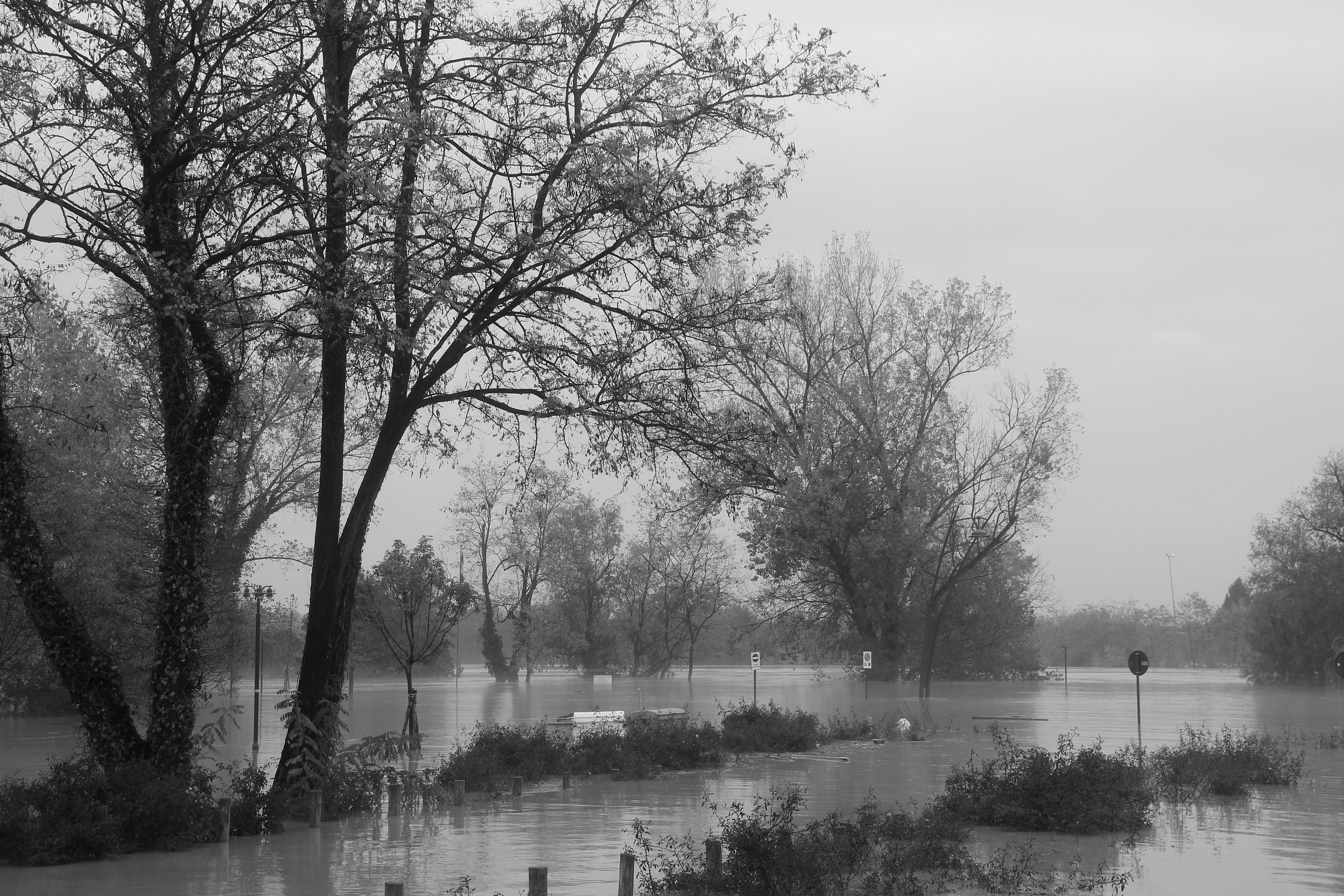 The Flood Plain of the Piave to San Dona
