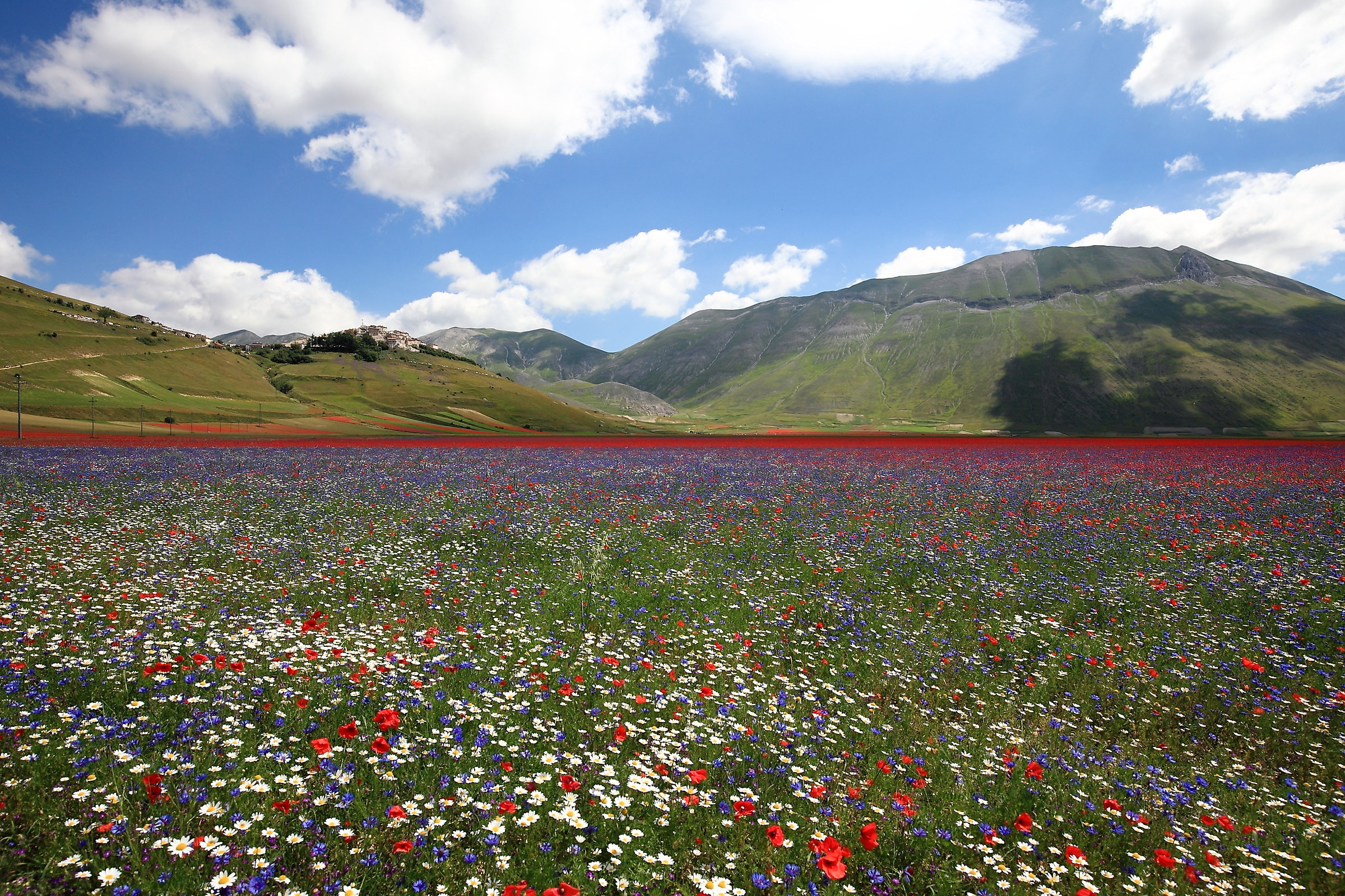 Dedicata ai contadini di Castelluccio
