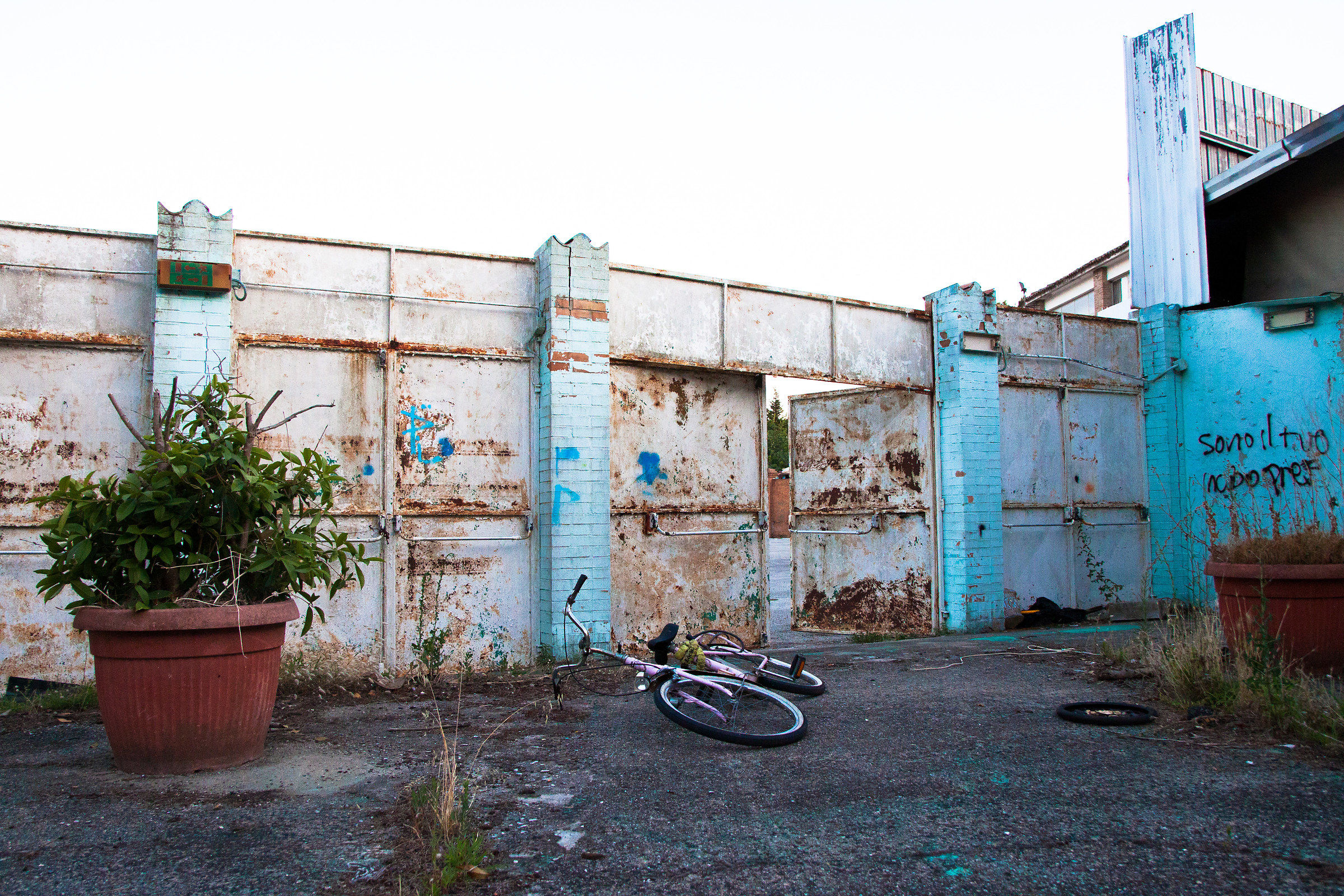 EMILIA ROMAGNA-Disco Jej