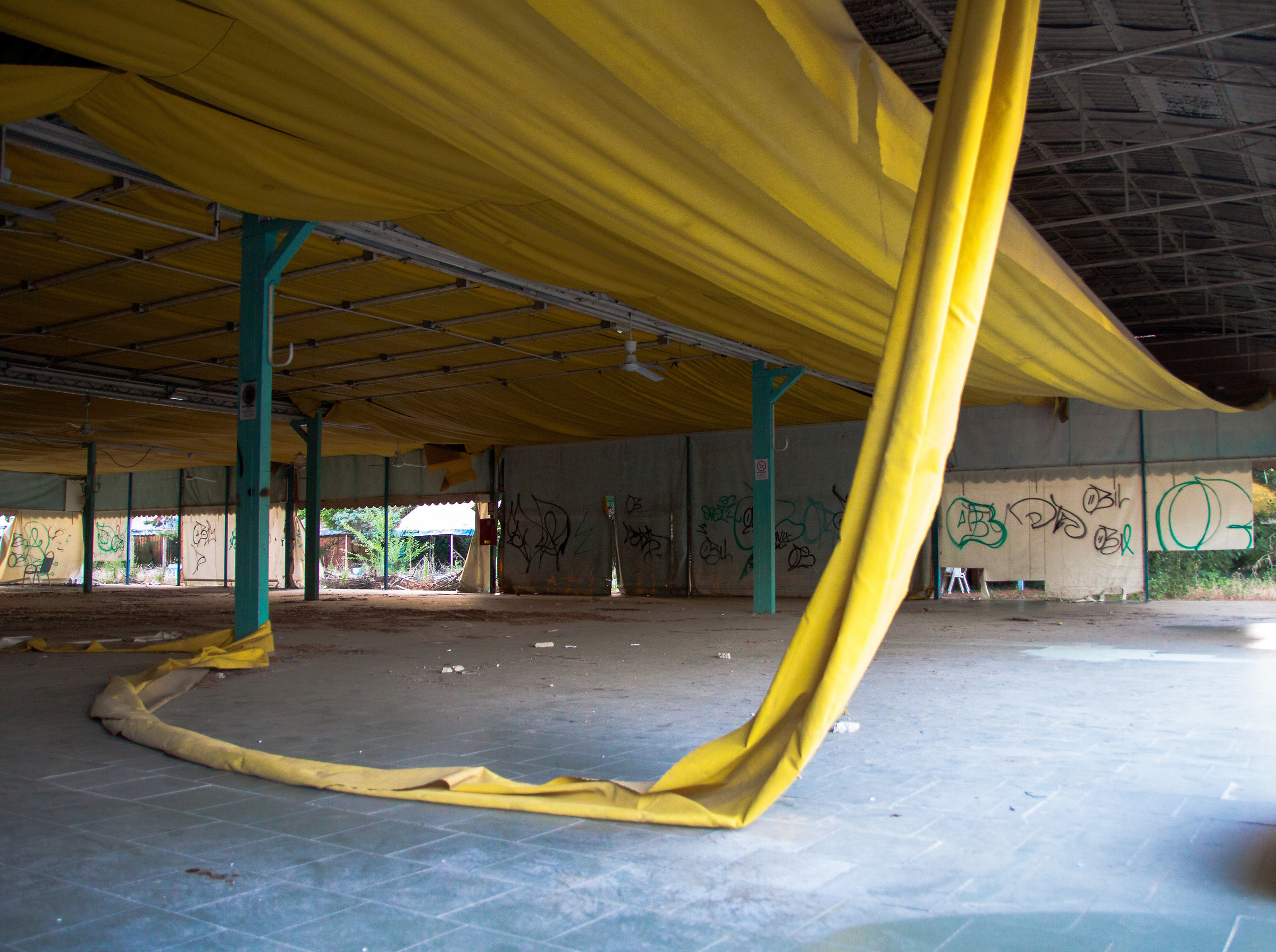 EMILIA ROMAGNA-Disco Jej