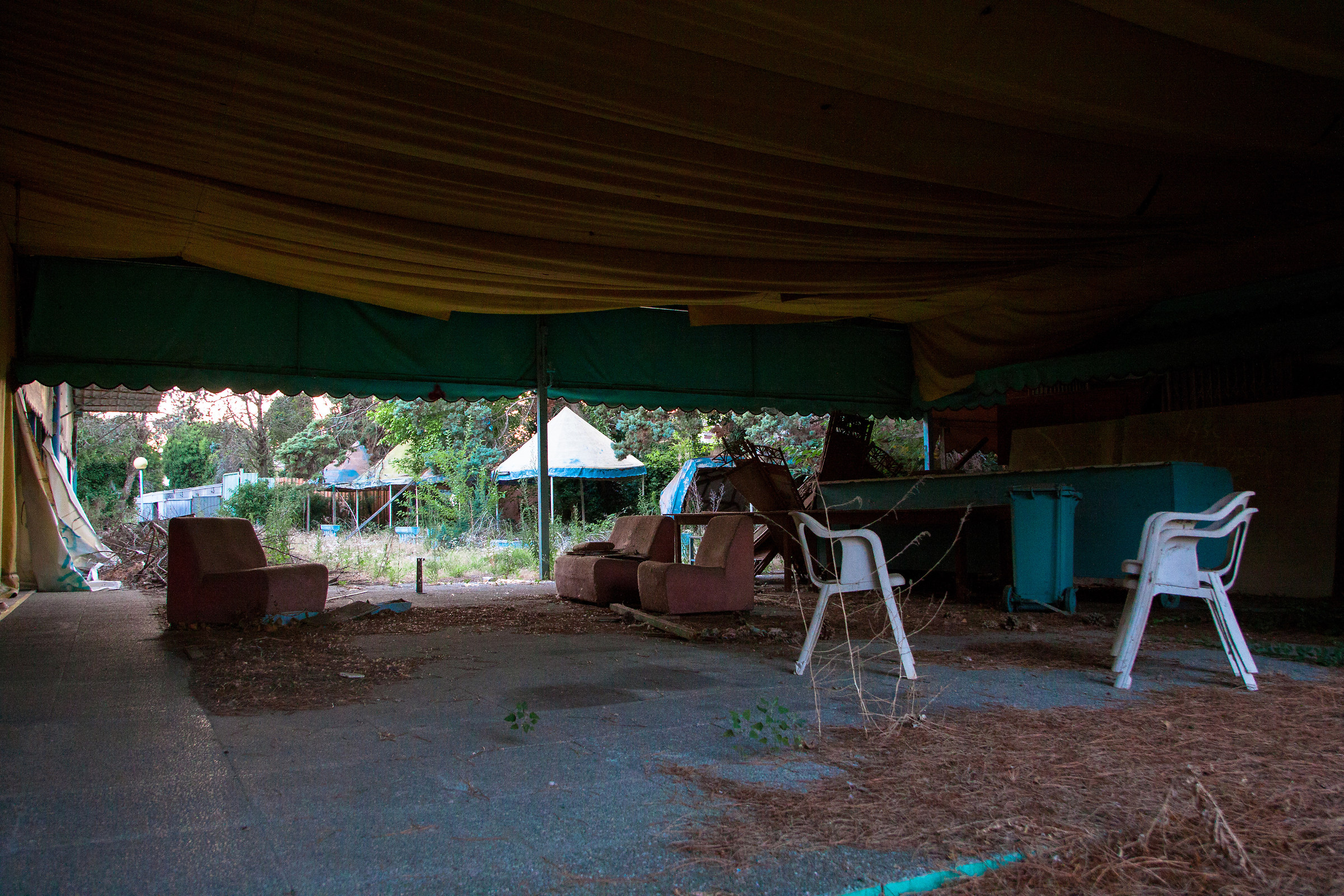 EMILIA ROMAGNA-Disco Jej