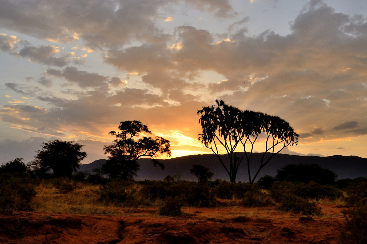 Tramonto nel parco nazionale di Samburu