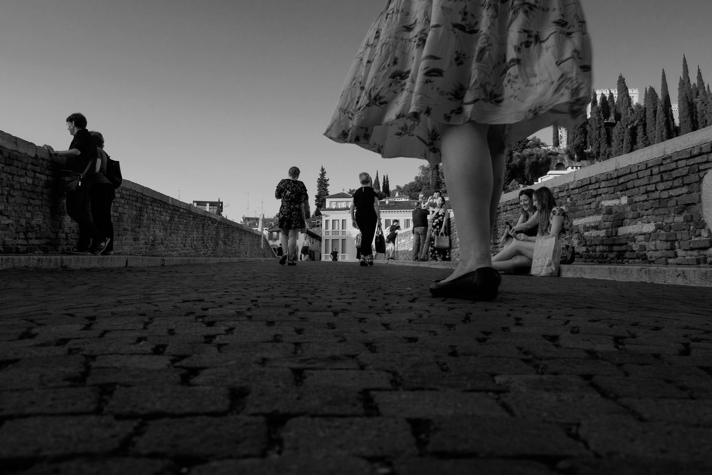 Cercasi Marilyn disperatamente