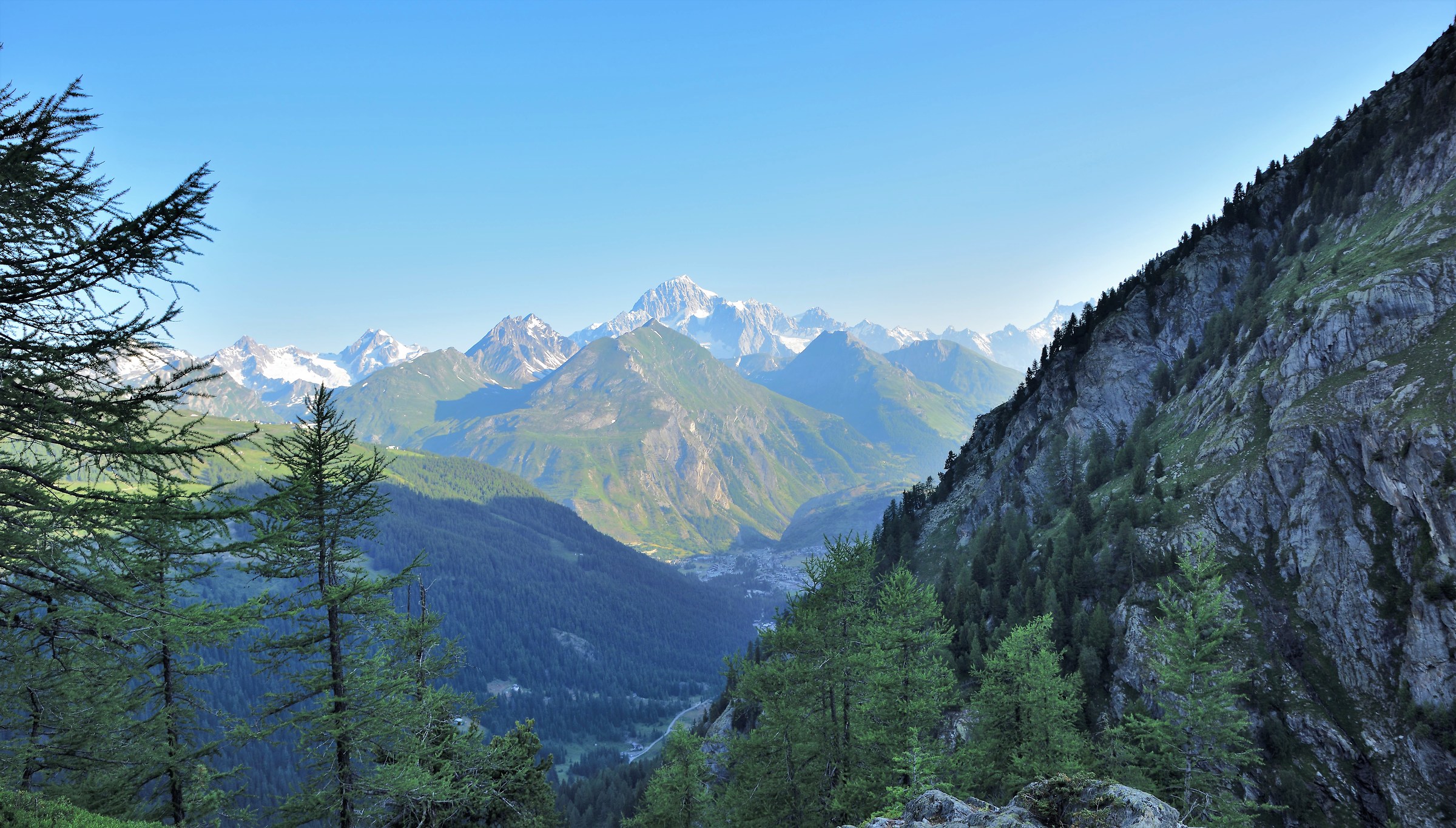 The bulk of the white group