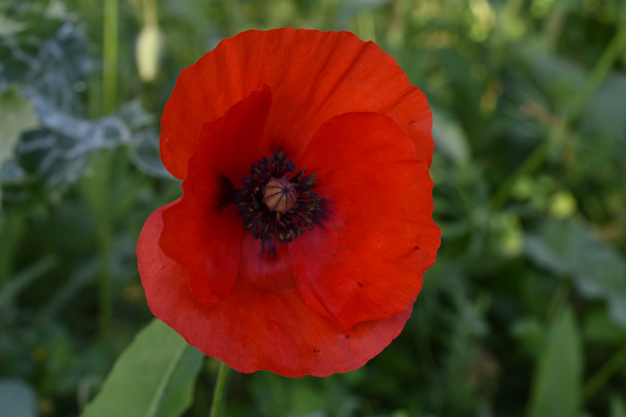 Untitled Photo