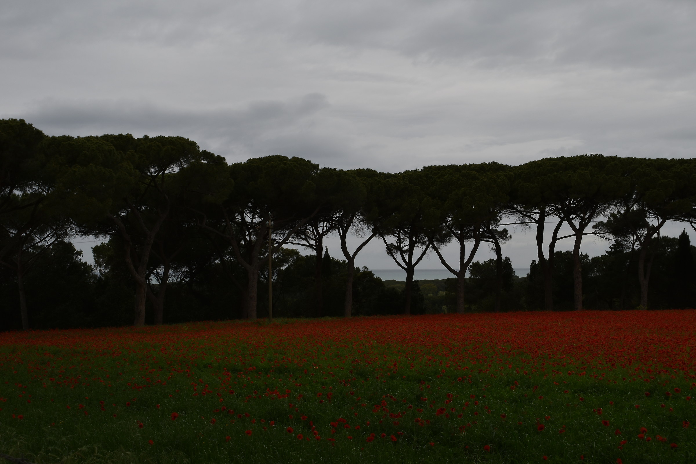 Untitled Photo