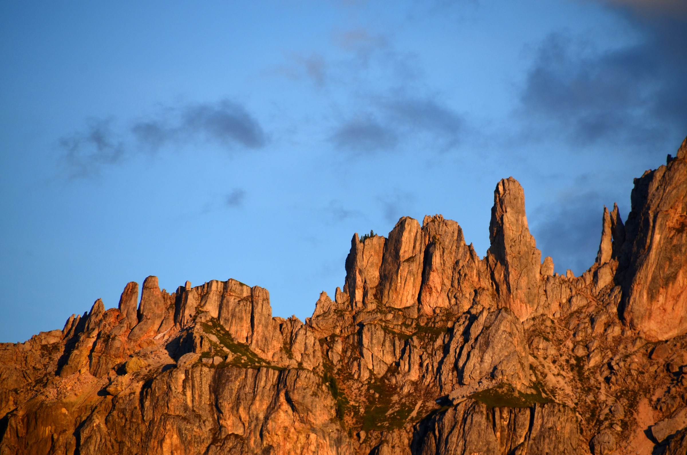 Gli aghi del...mestiere