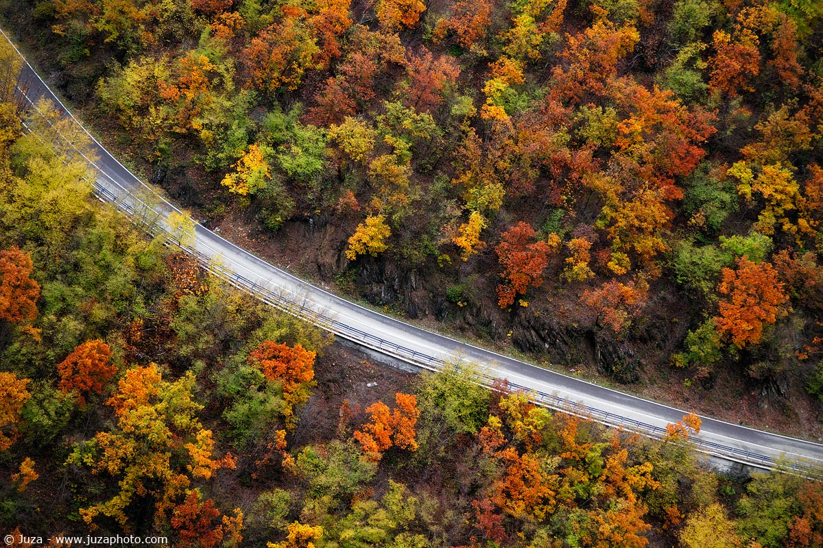 Highway 45 in the fall, 016,330