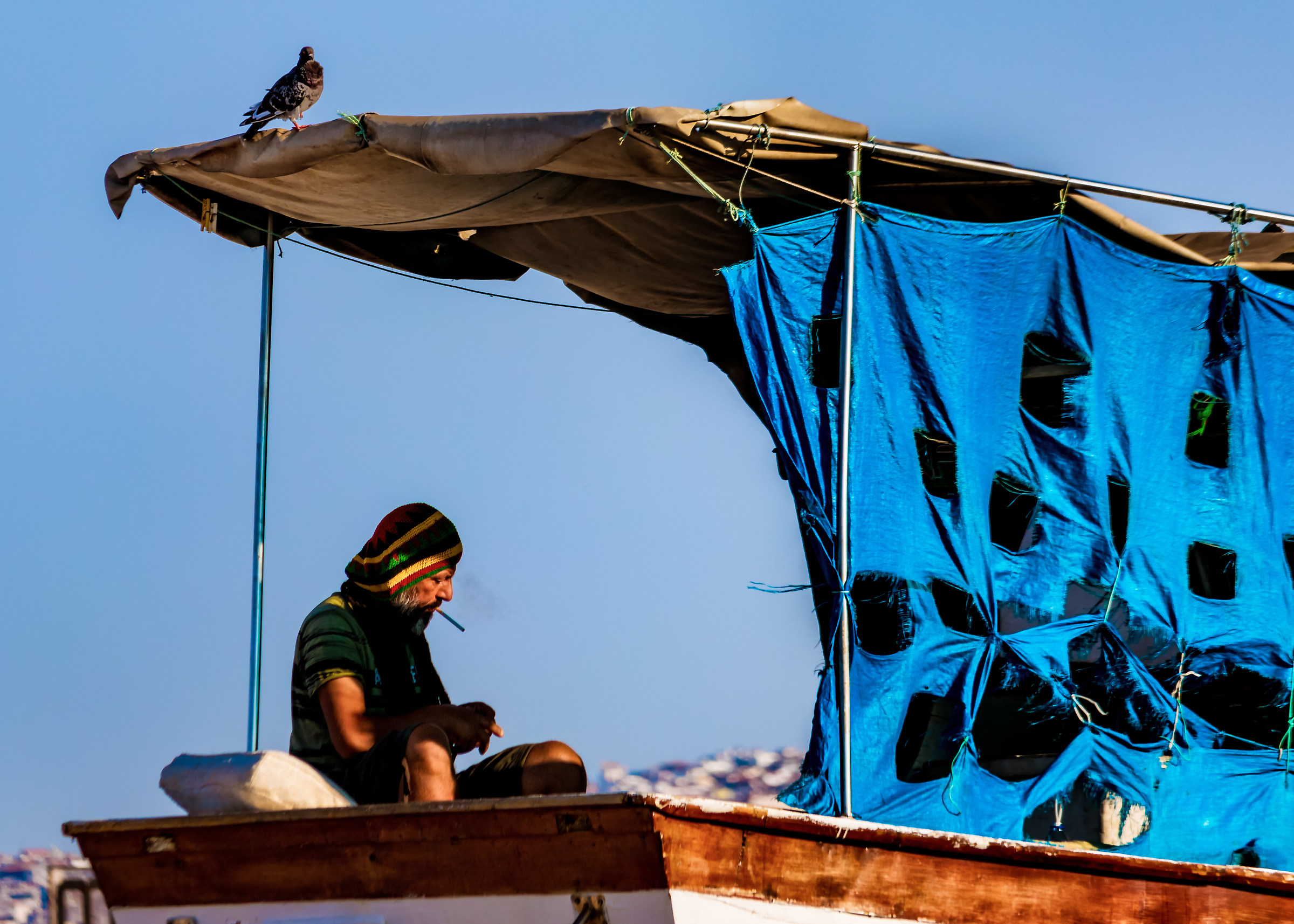 Un pescatore e un piccione