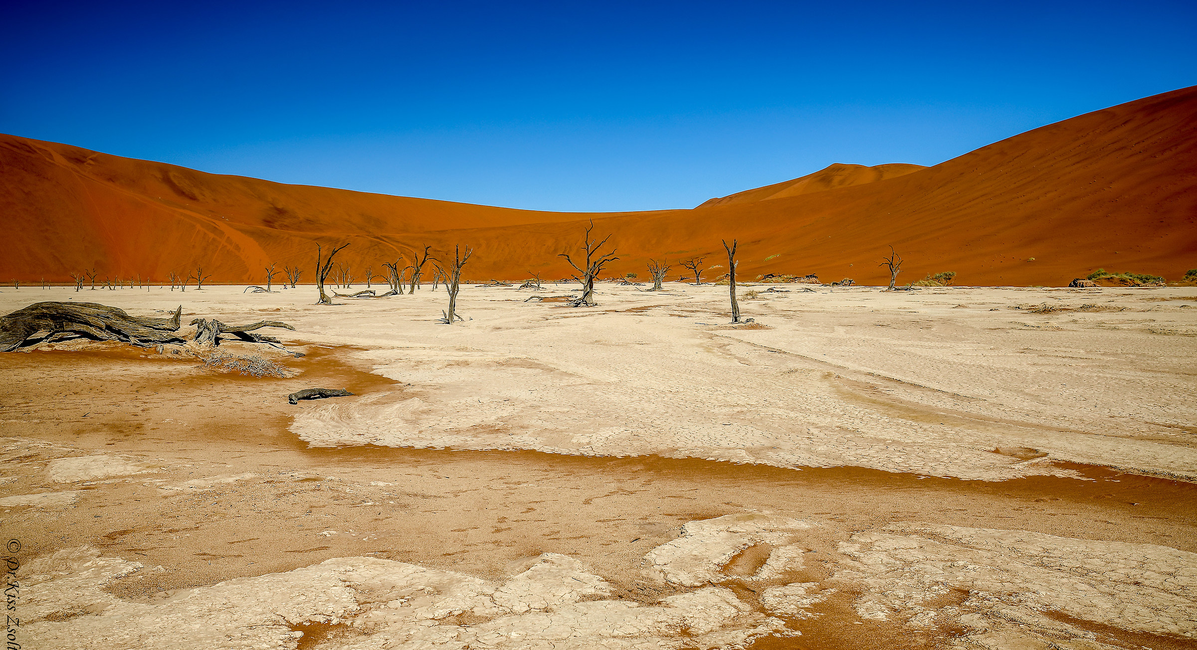Deadvlei