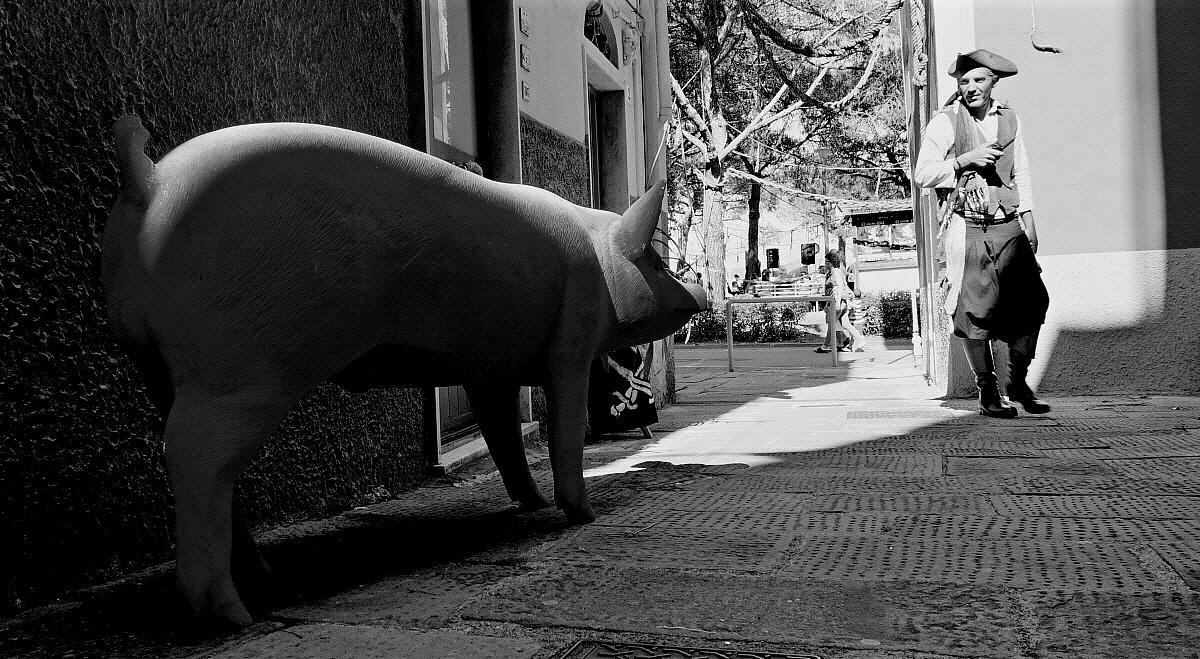 Troppo magro per la porchetta!