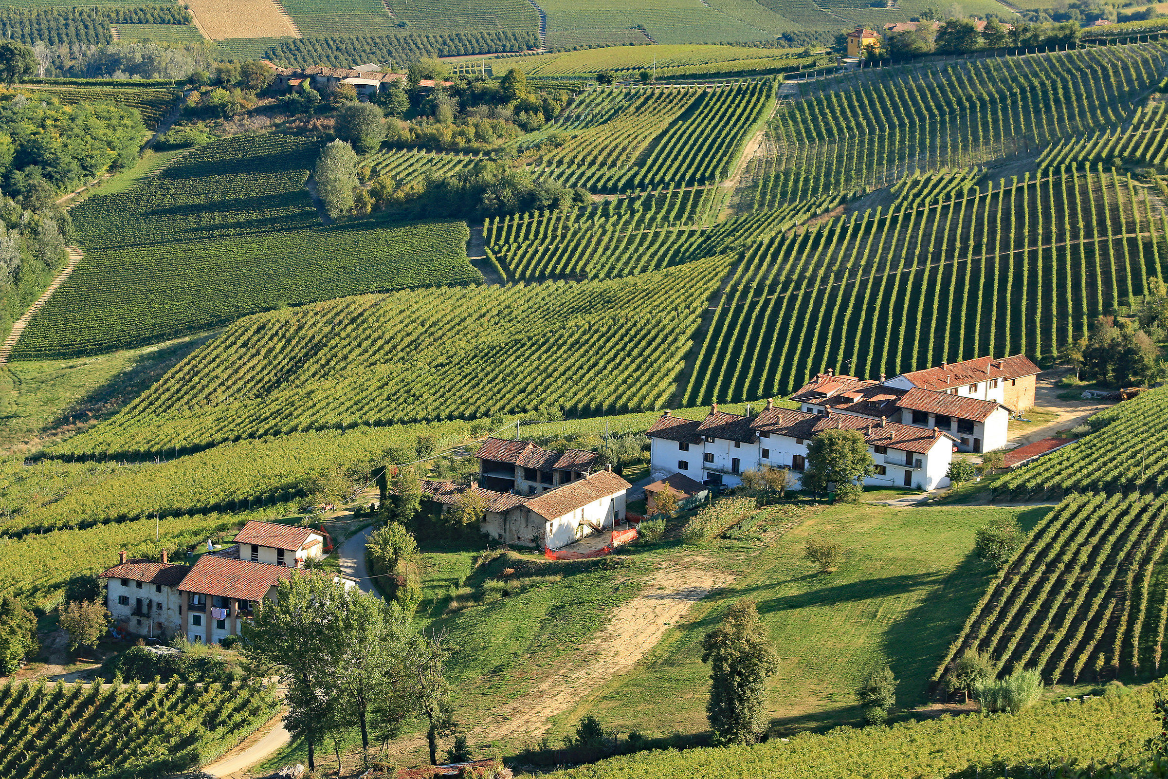 The Langhe around Barolo