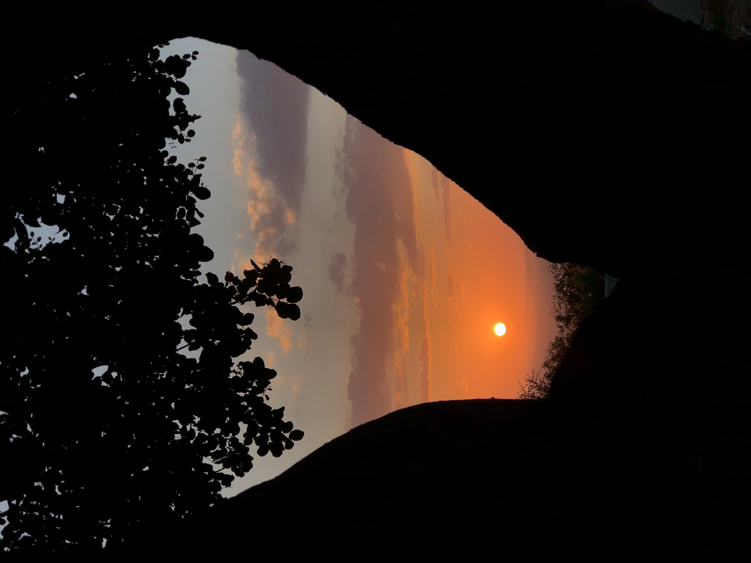 Sunset behind the Carob