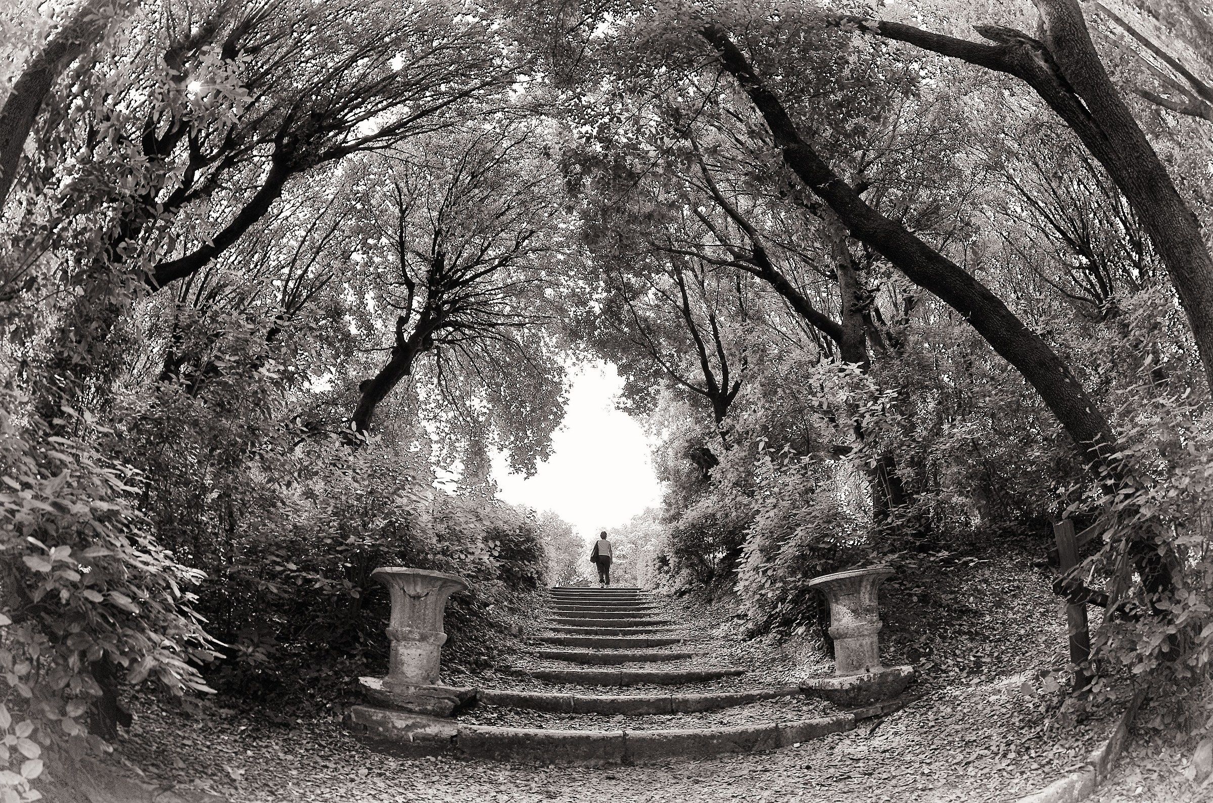 Horti Leontini (San Quirico)